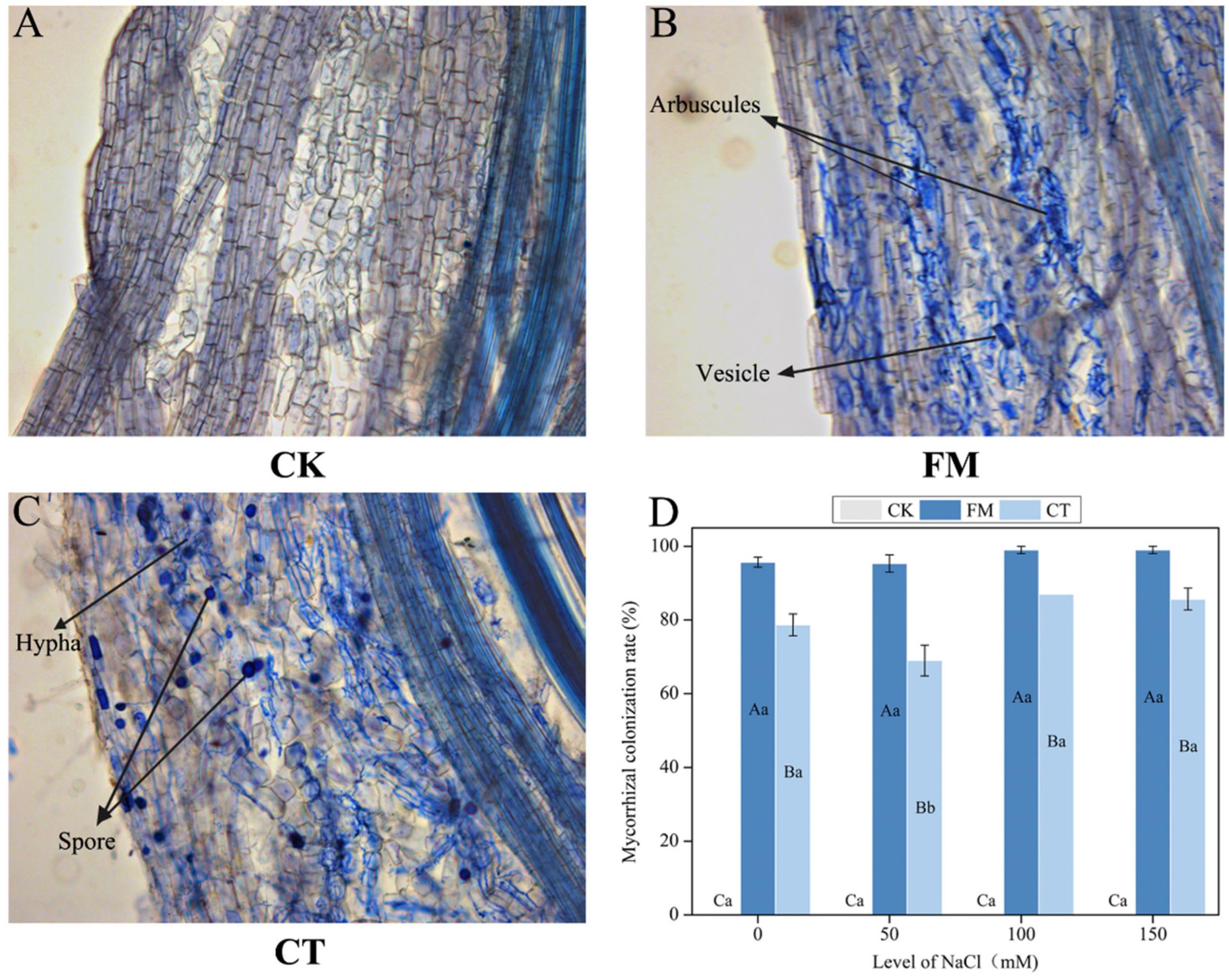Forests 13 00688 g001