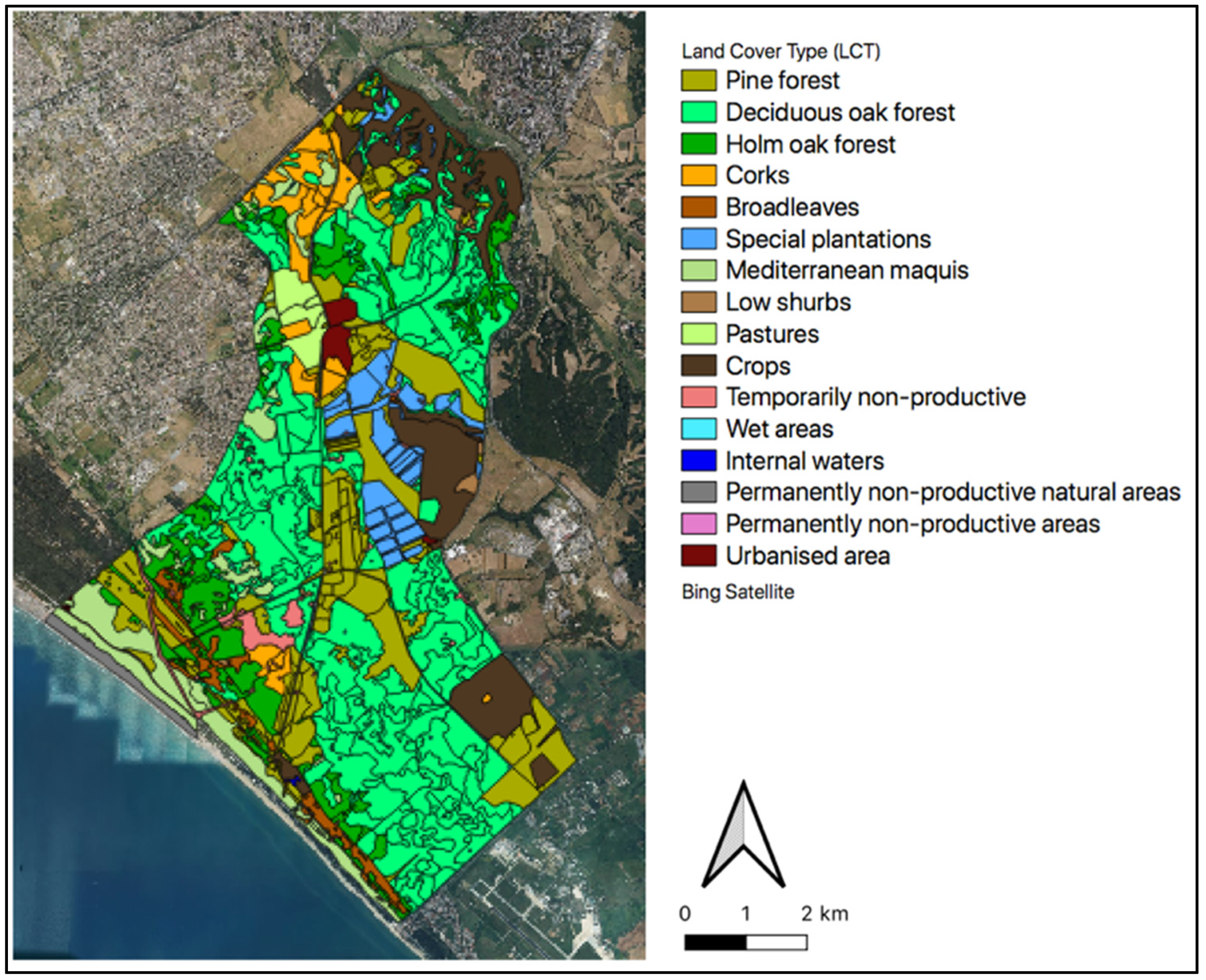 Forests 13 00689 g001