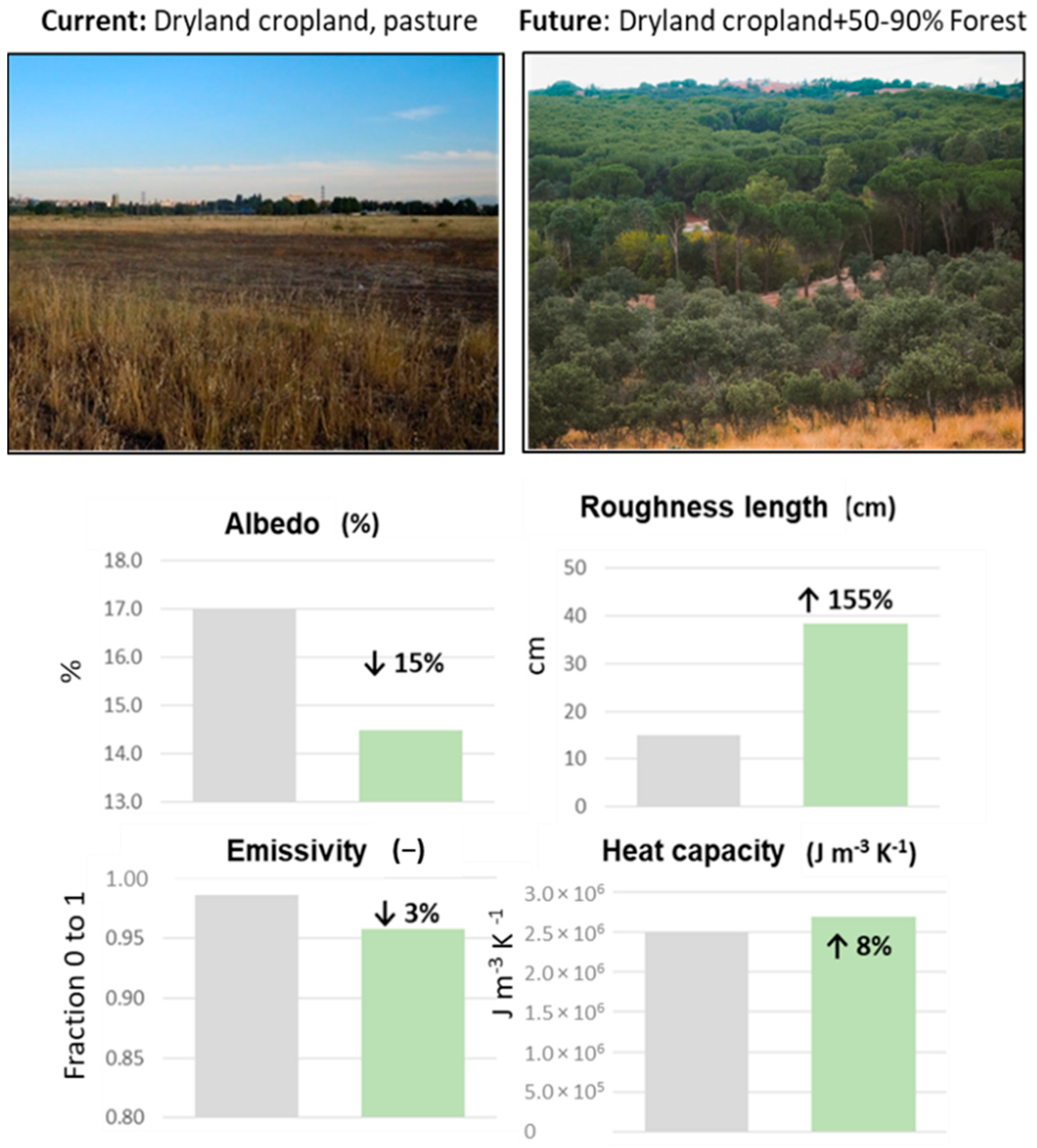 Forests 13 00690 g003