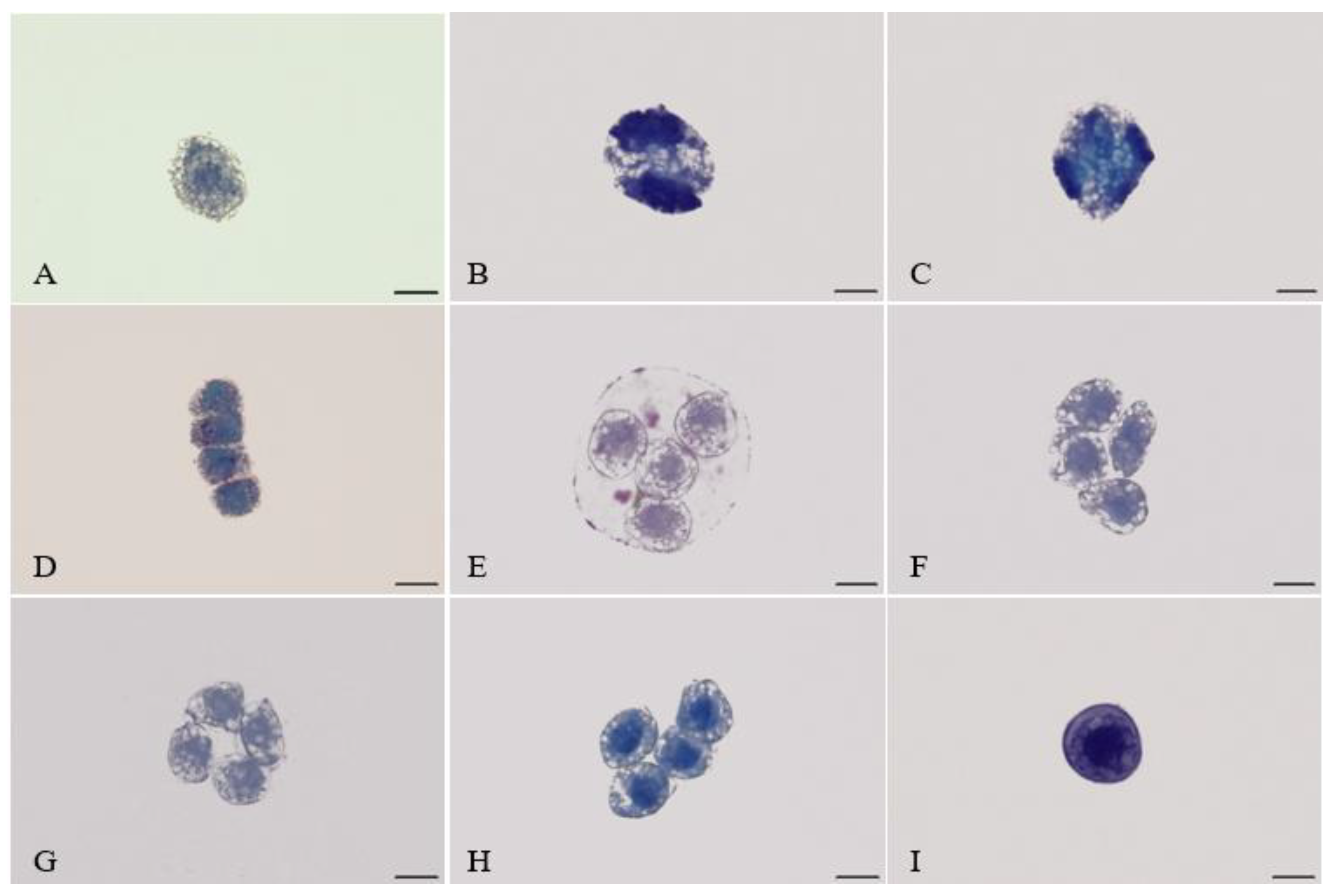 Forests 13 00694 g001