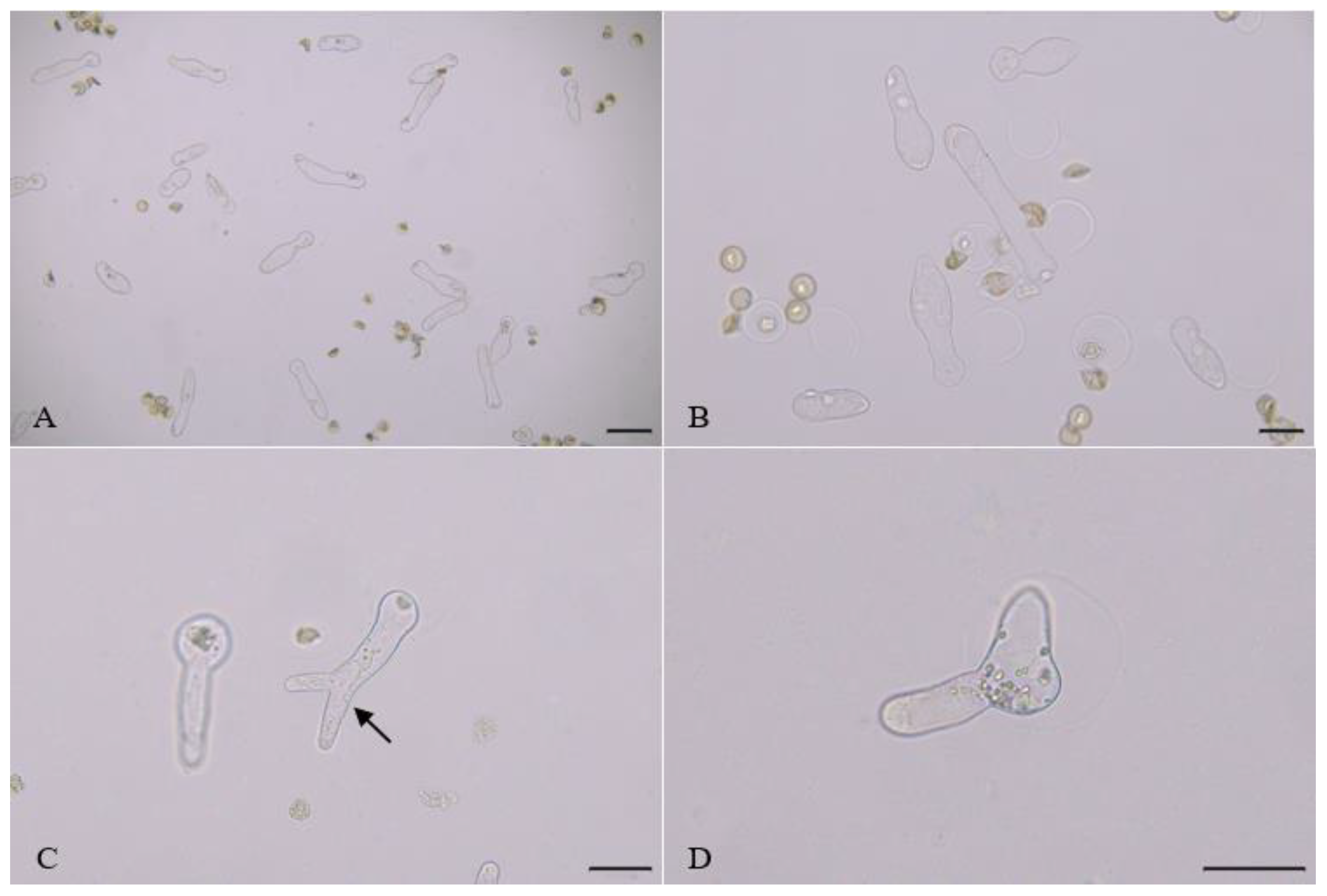 Forests 13 00694 g003