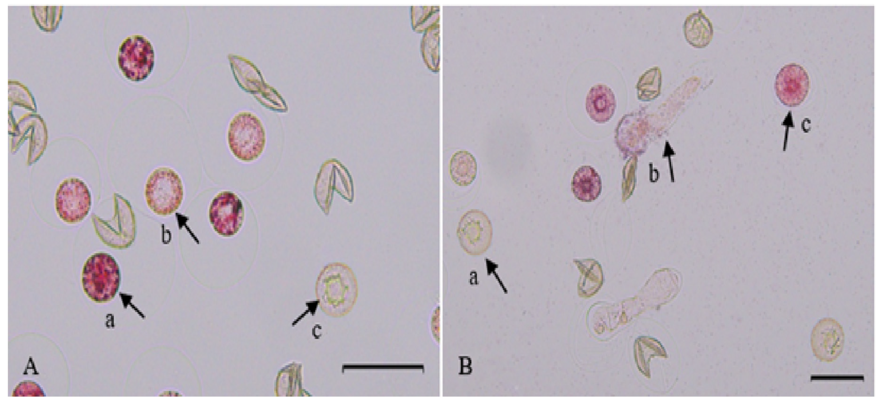 Forests 13 00694 g004