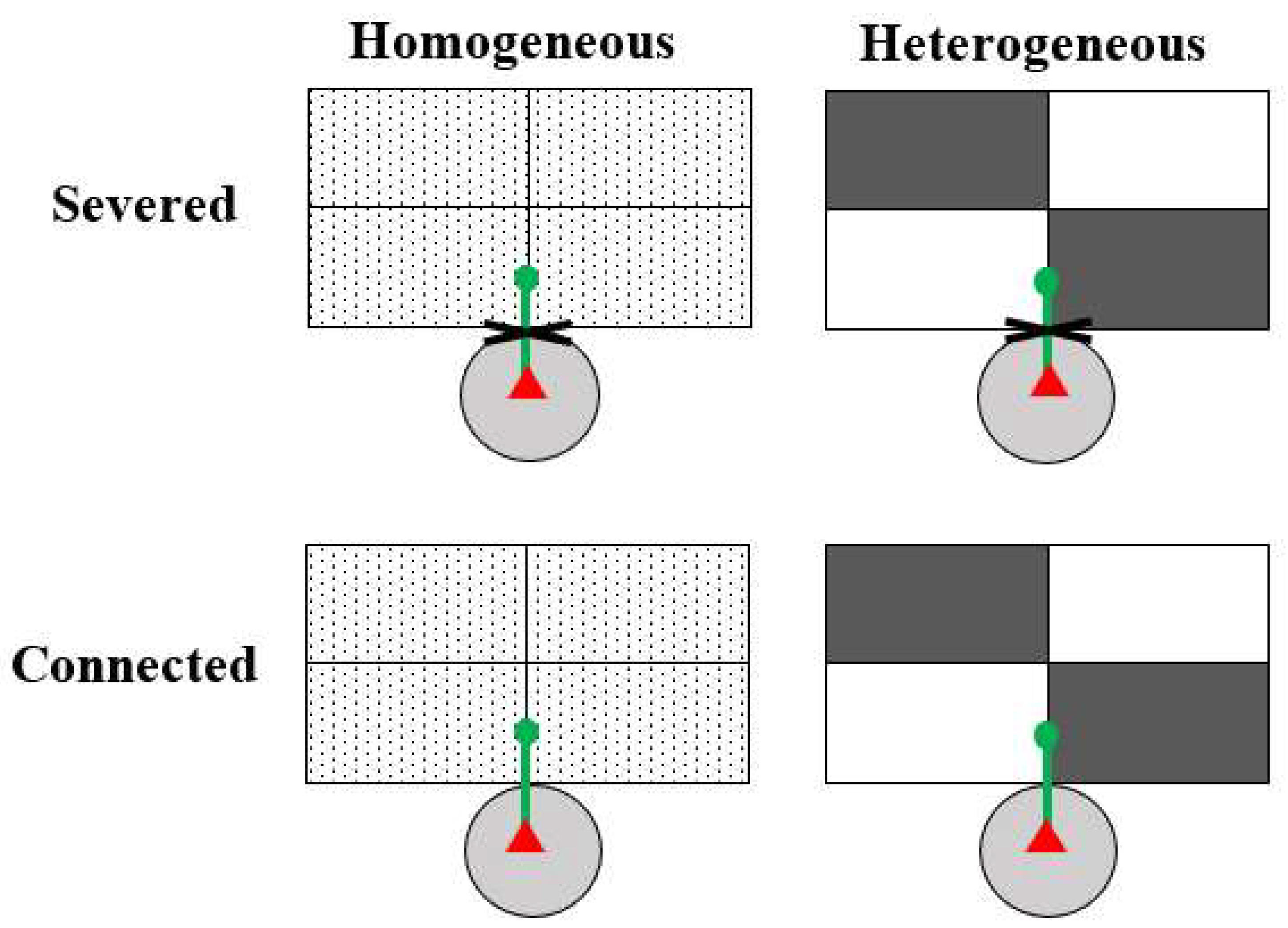Forests 13 00696 g001