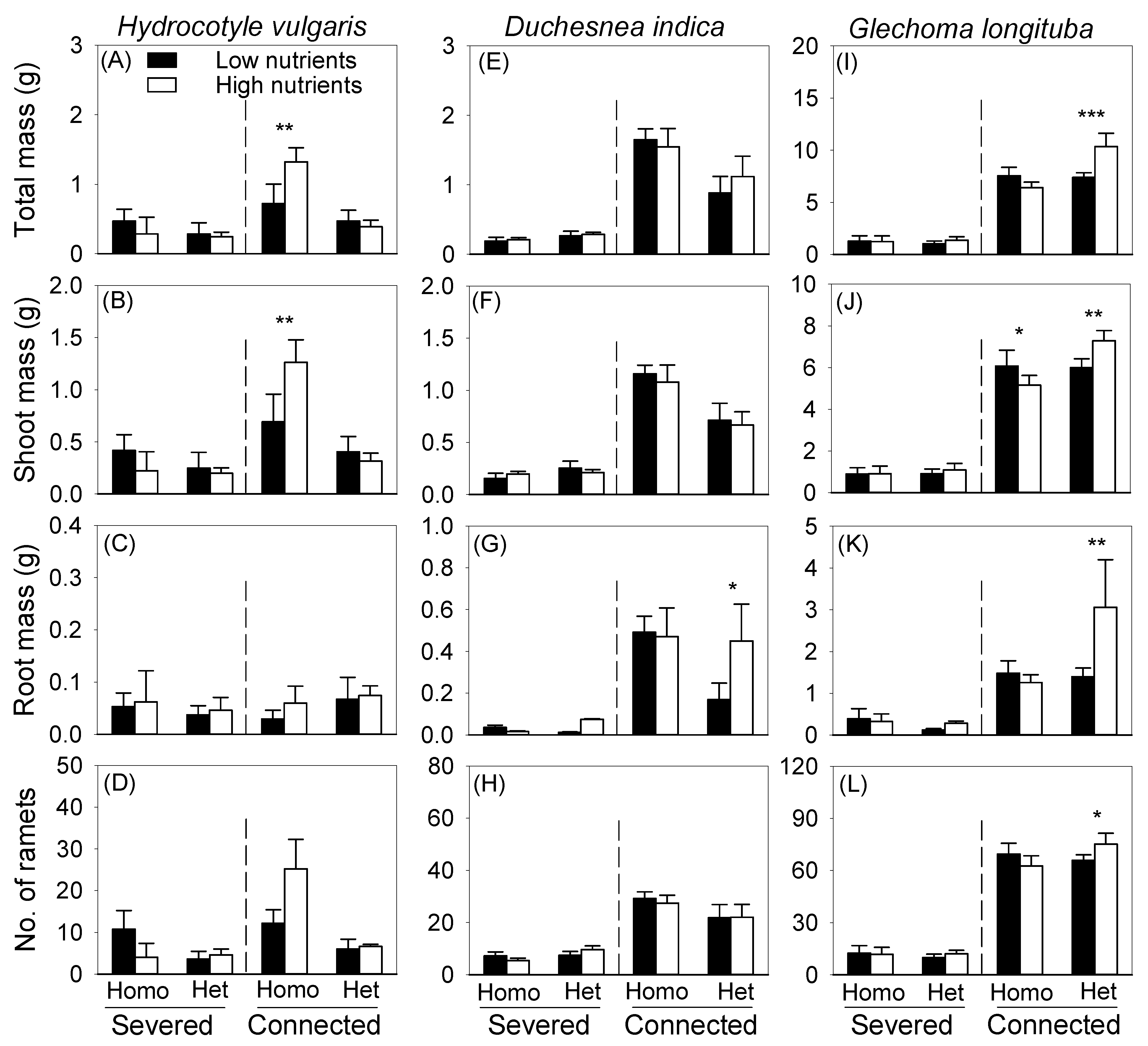 Forests 13 00696 g004