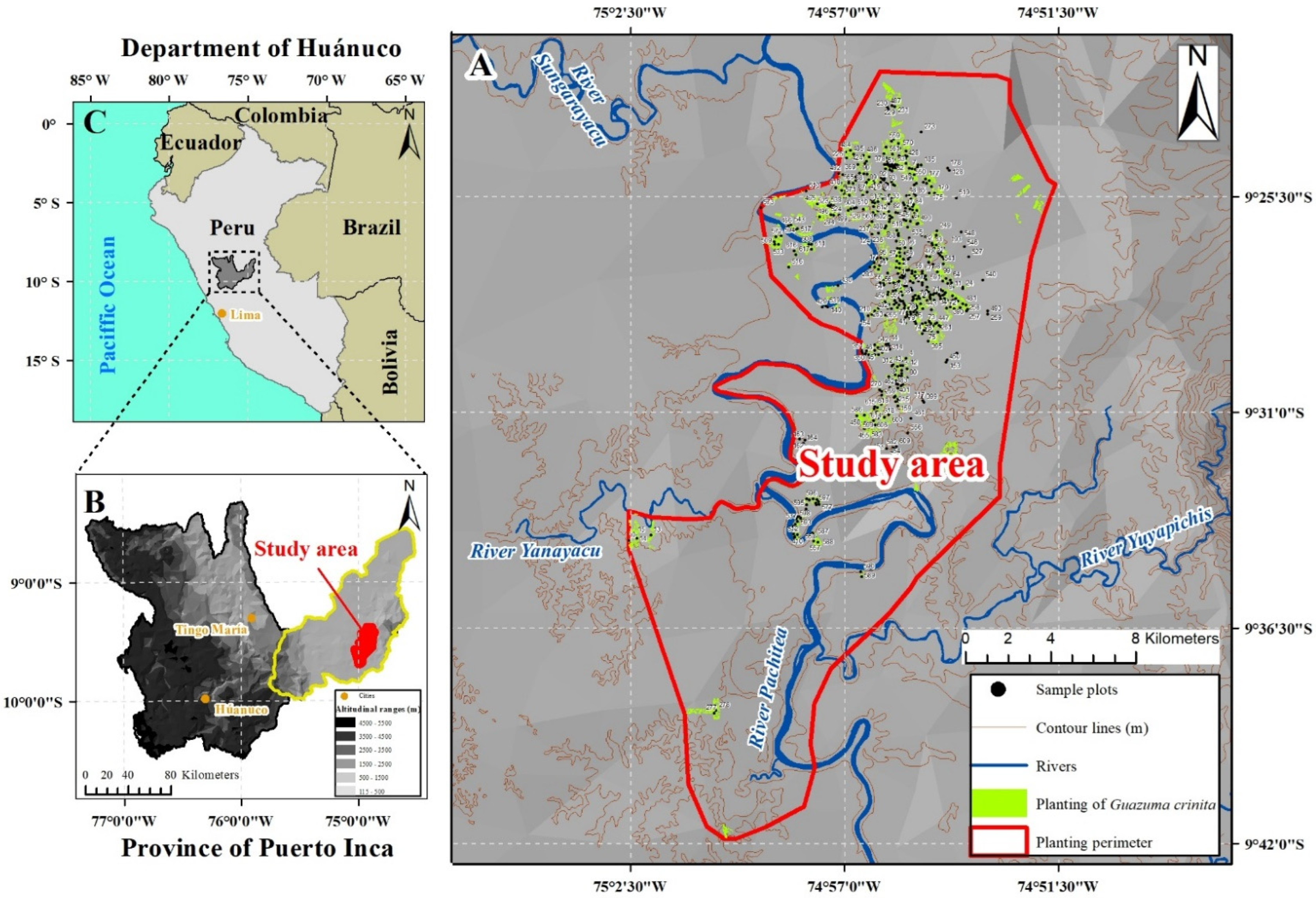 Forests 13 00697 g001