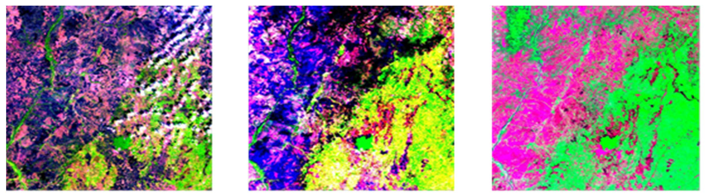Forests 13 00698 g002