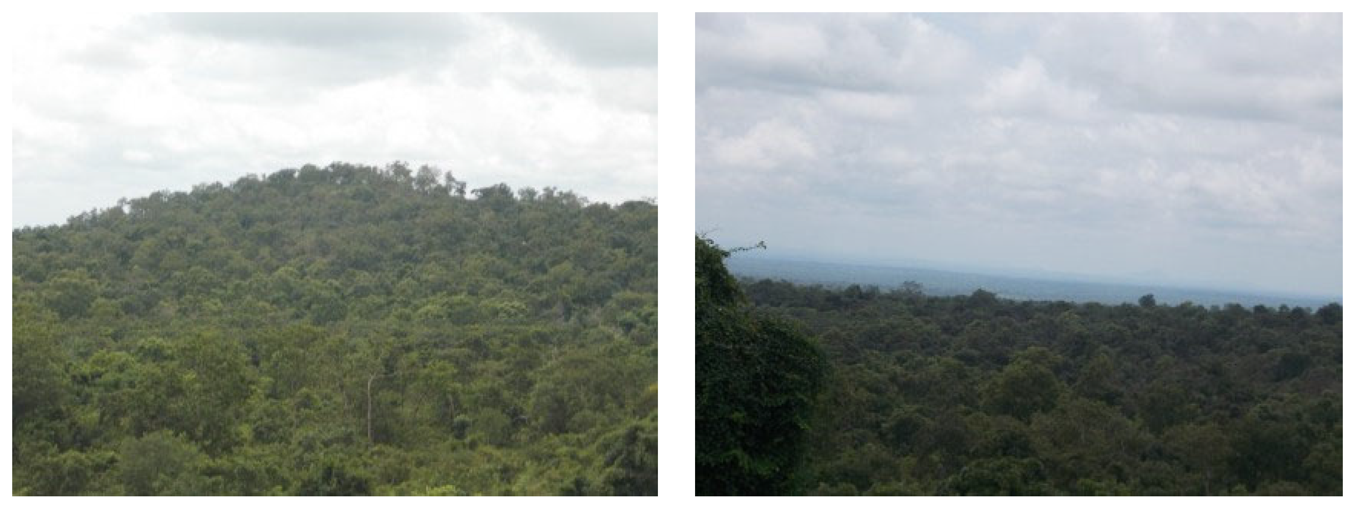 Forests 13 00698 g014