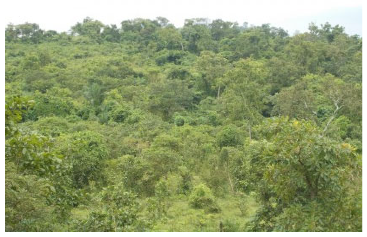 Forests 13 00698 g015