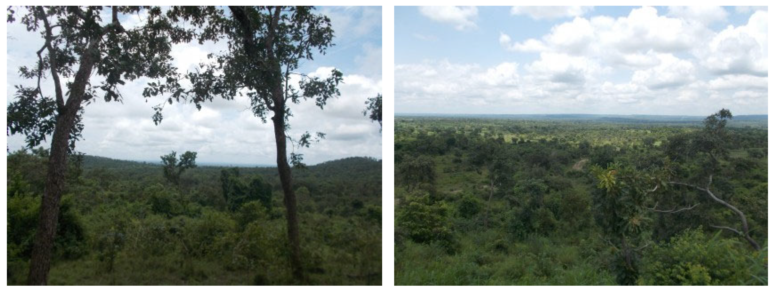 Forests 13 00698 g016