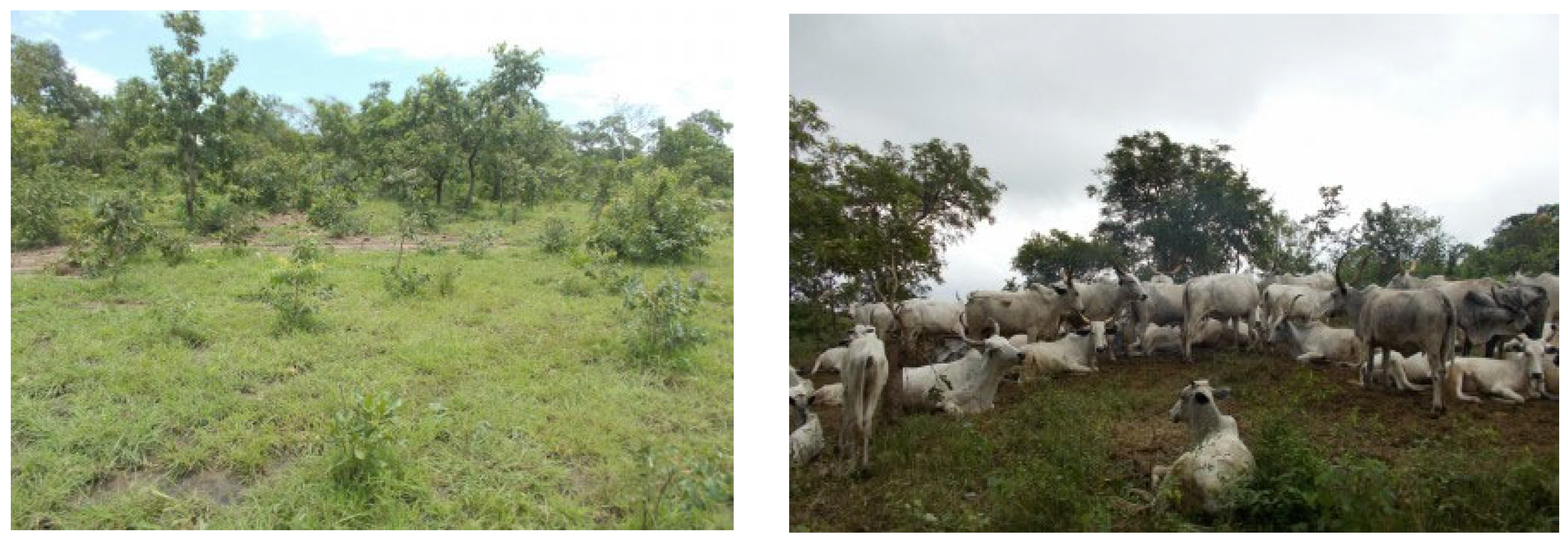 Forests 13 00698 g017