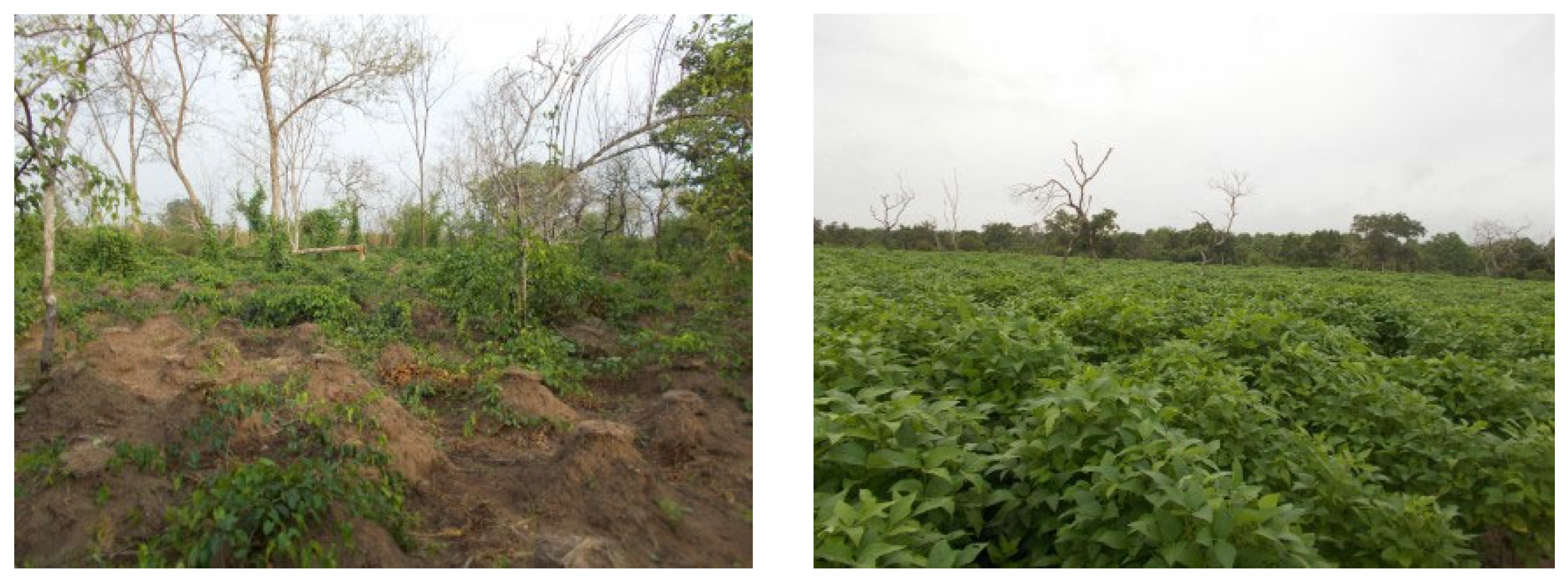 Forests 13 00698 g018