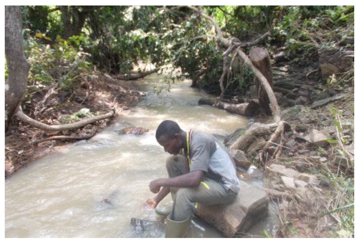 Forests 13 00698 g019