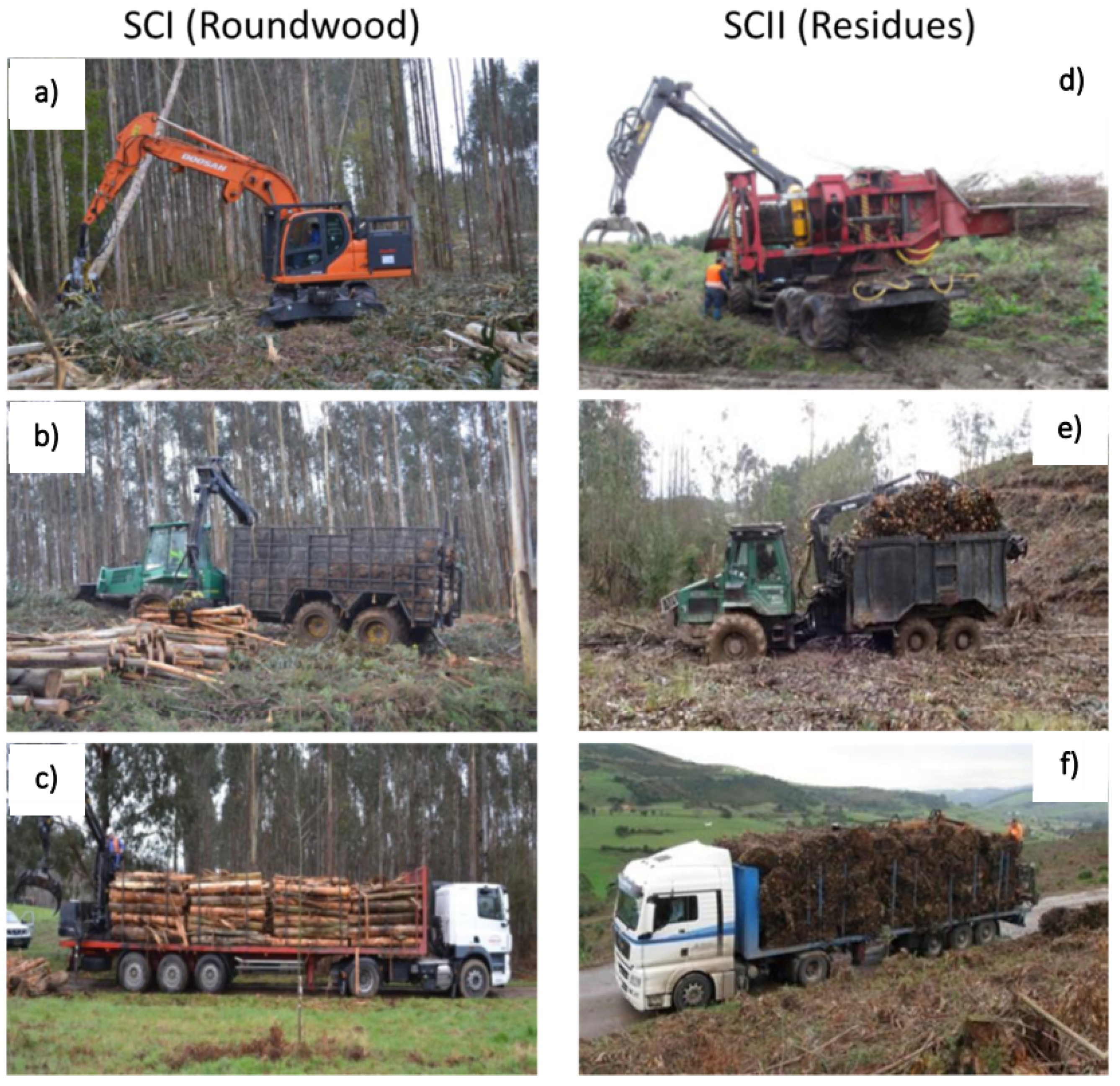 Forests 13 00701 g003 Forests 13 00701 g003