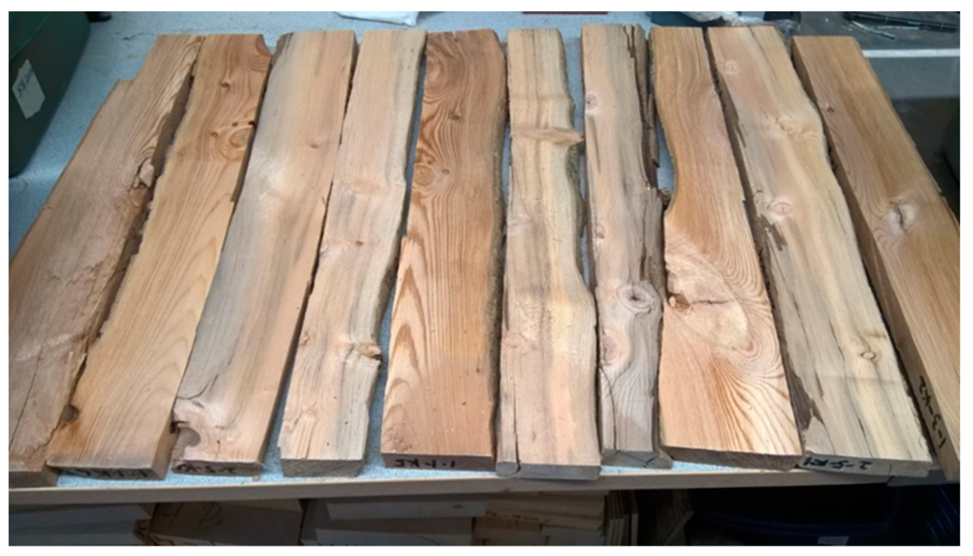 Forests 13 00704 g002