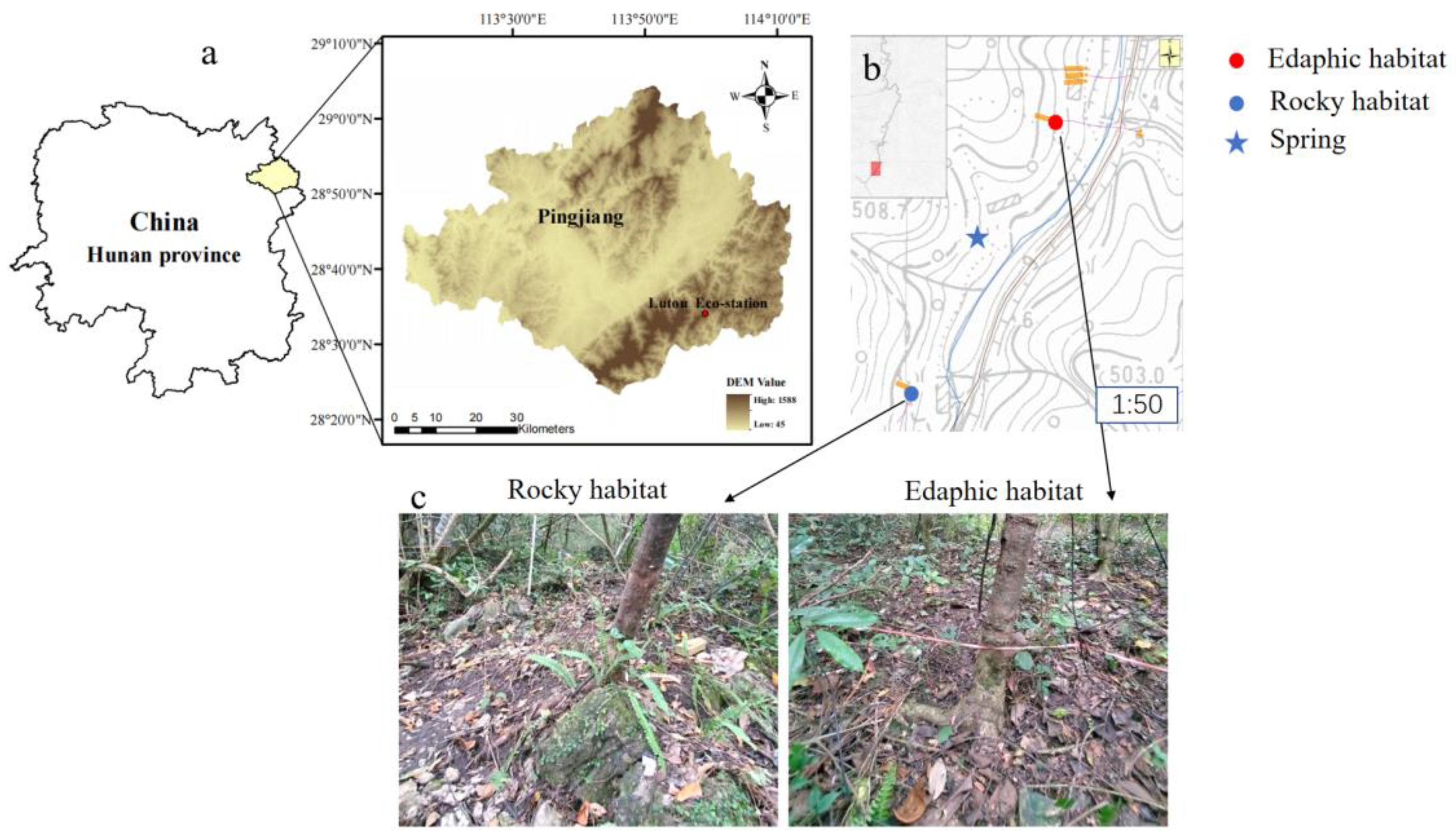 Forests 13 00708 g001