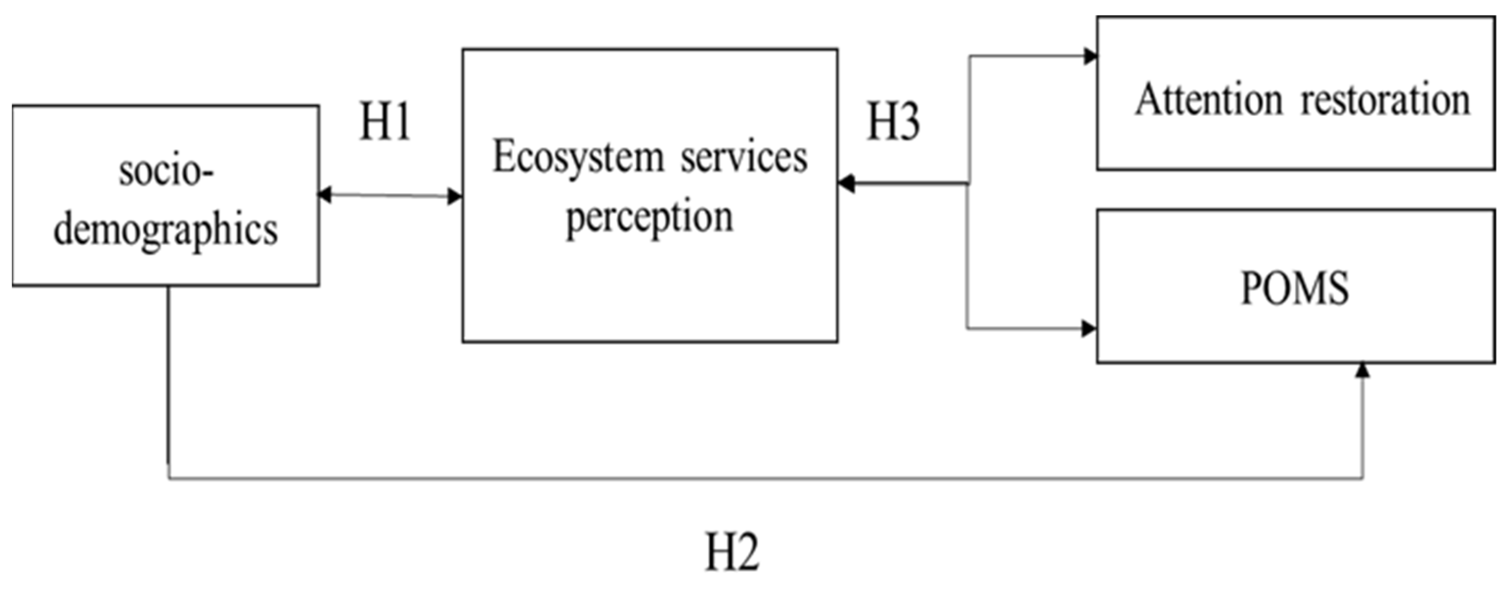 Forests 13 00709 g001