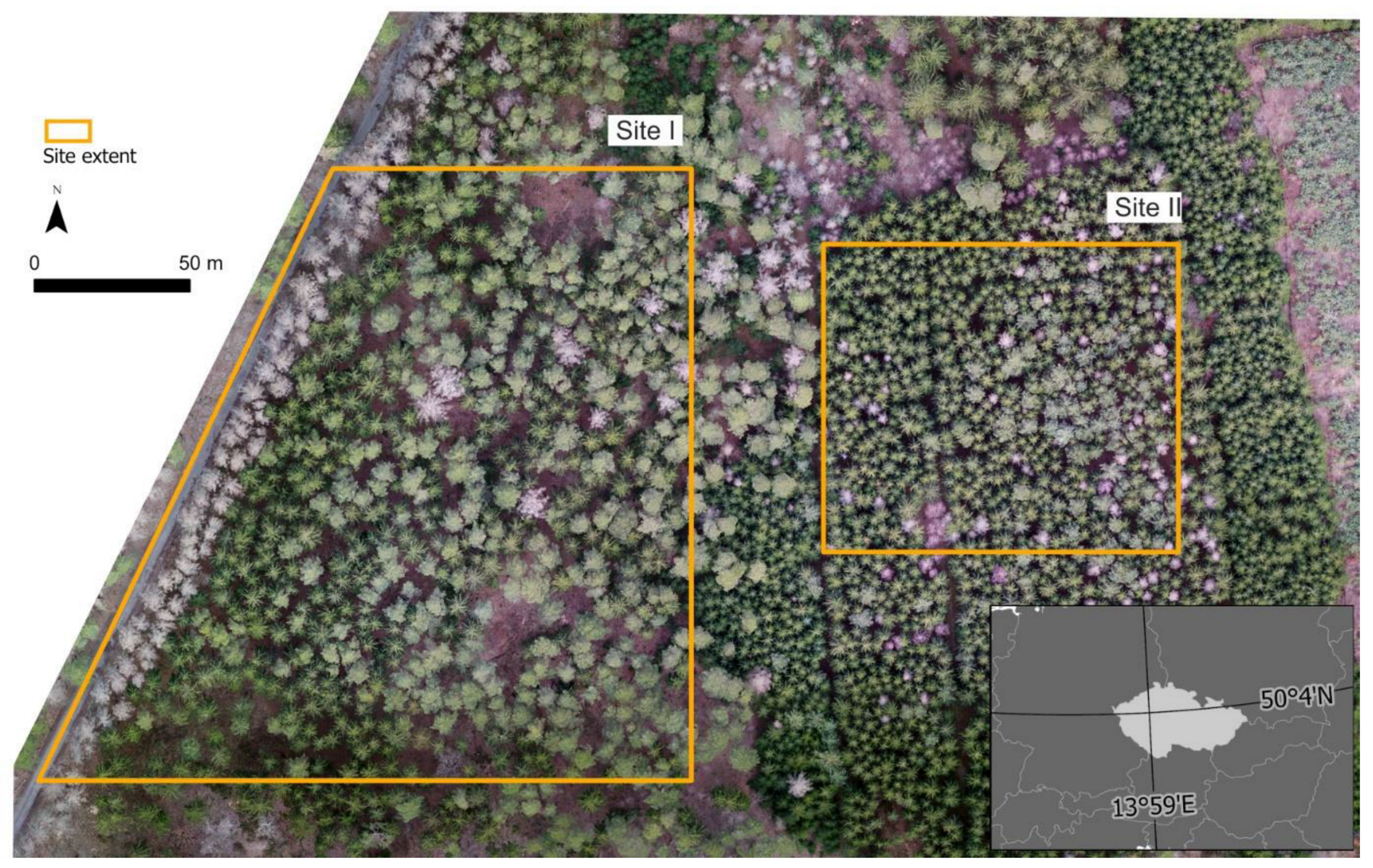 Forests 13 00710 g001