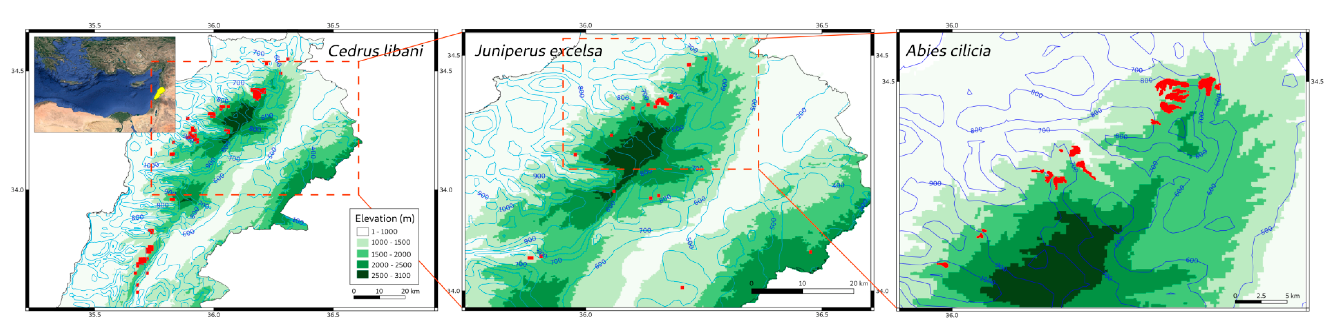 Forests 13 00711 g001