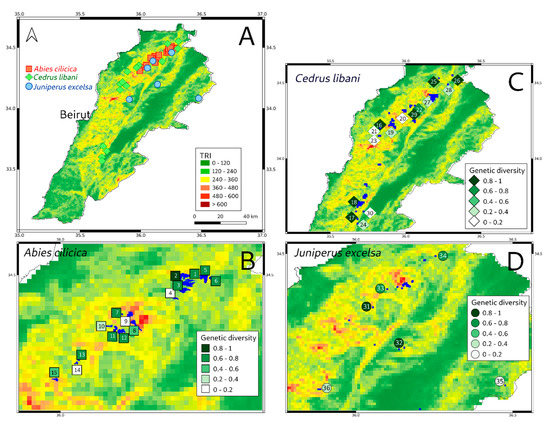 Forests 13 00711 g002 550