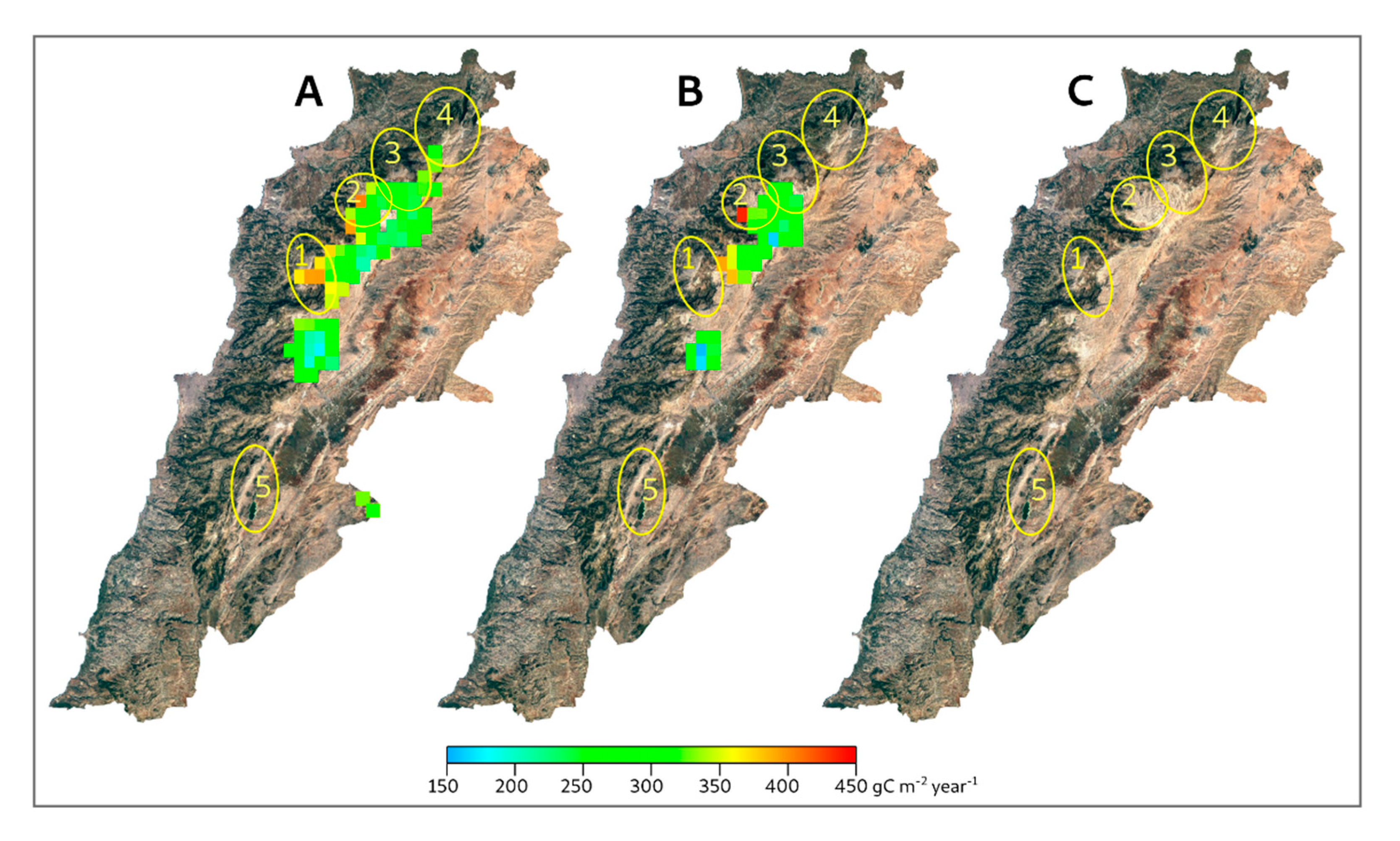 Forests 13 00711 g005