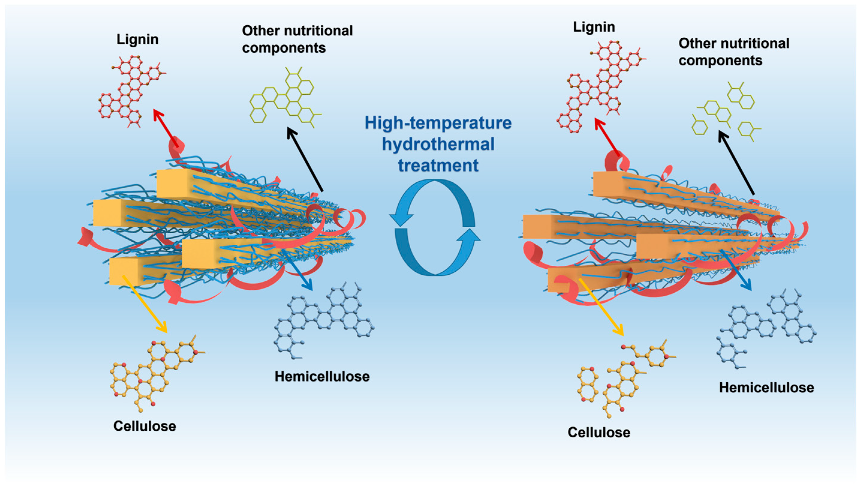 Forests 13 00712 g004 Forests 13 00712 g004