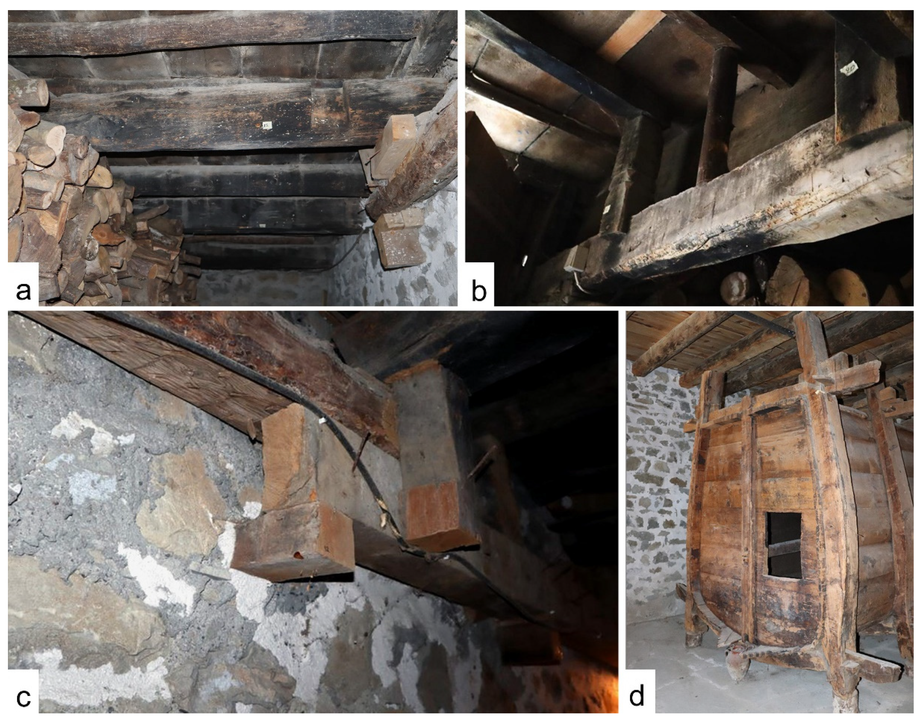 Forests 13 00719 g003