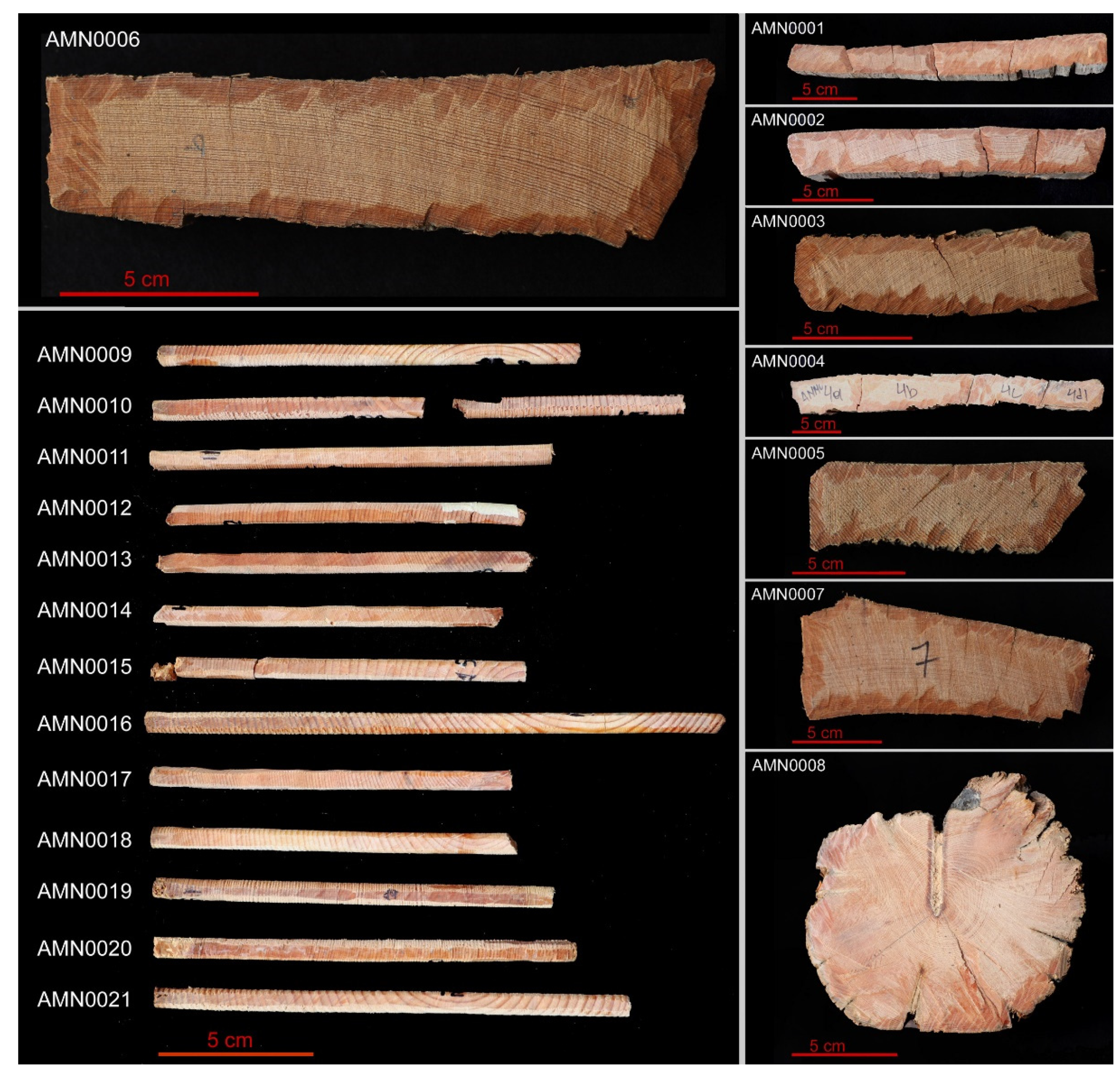 Forests 13 00719 g004
