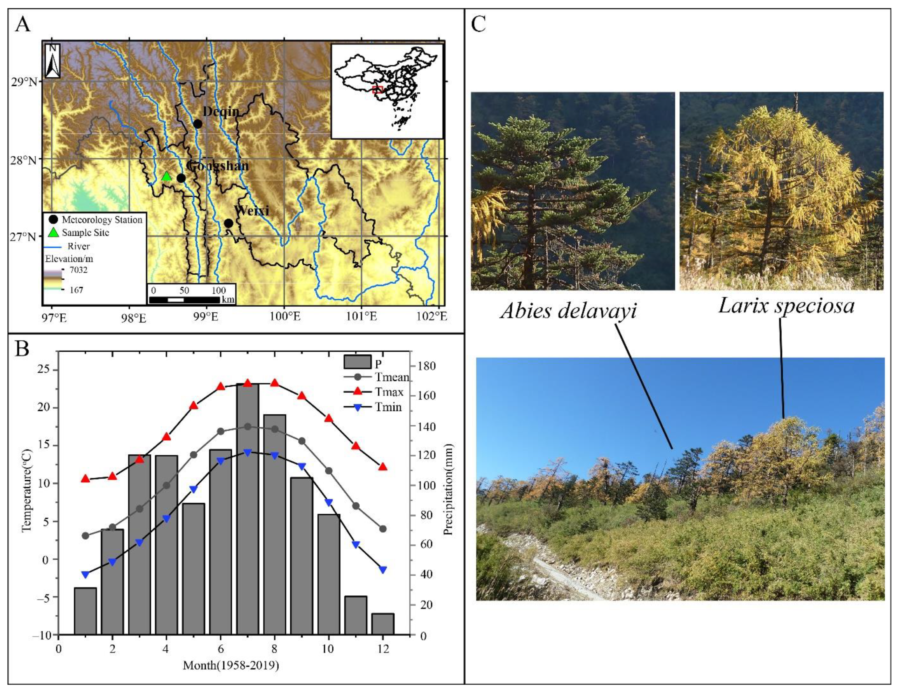 Forests 13 00720 g001