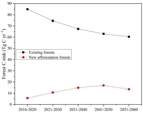 Forests 13 00721 g0a1 550
