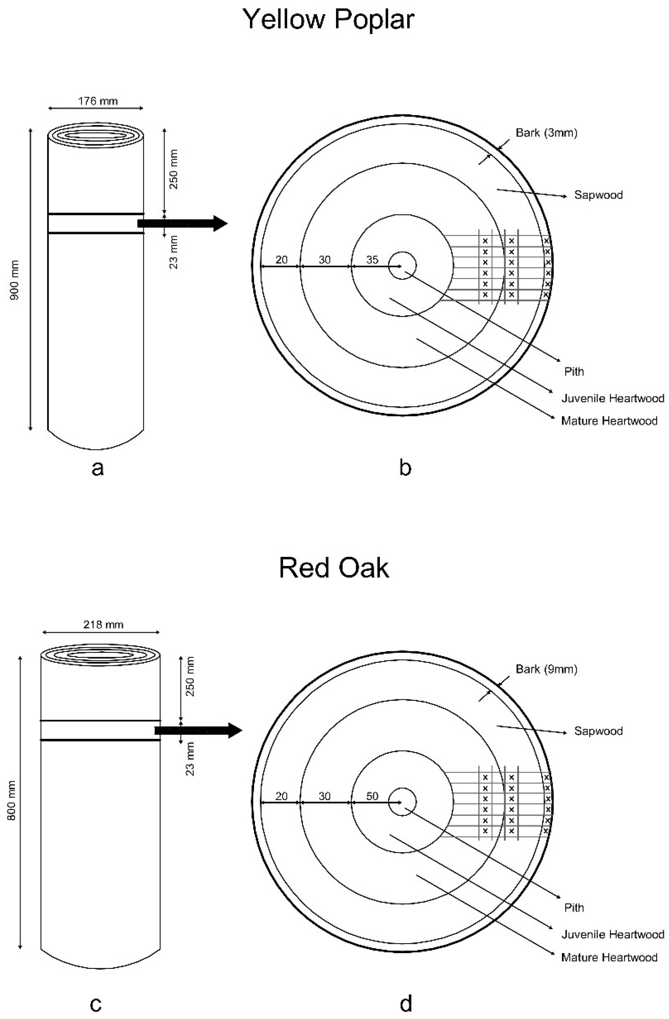 Forests 13 00722 g001
