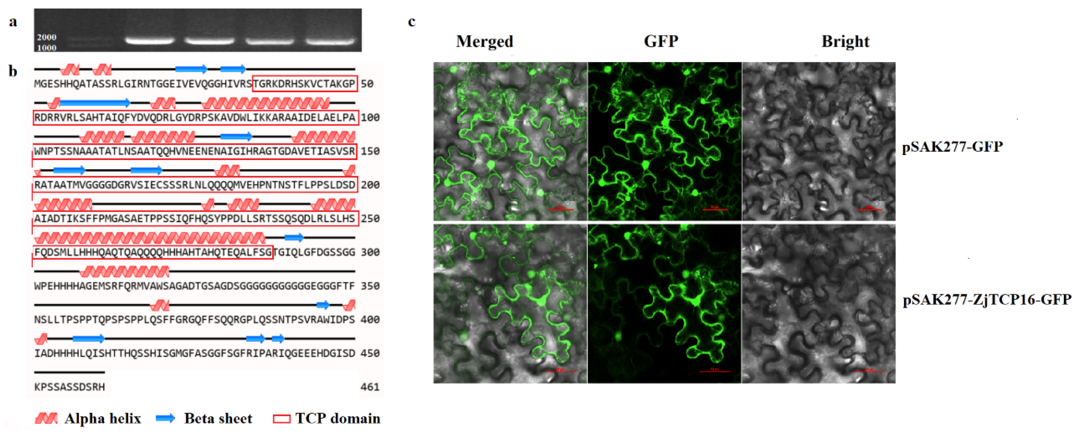 Forests 13 00723 g001