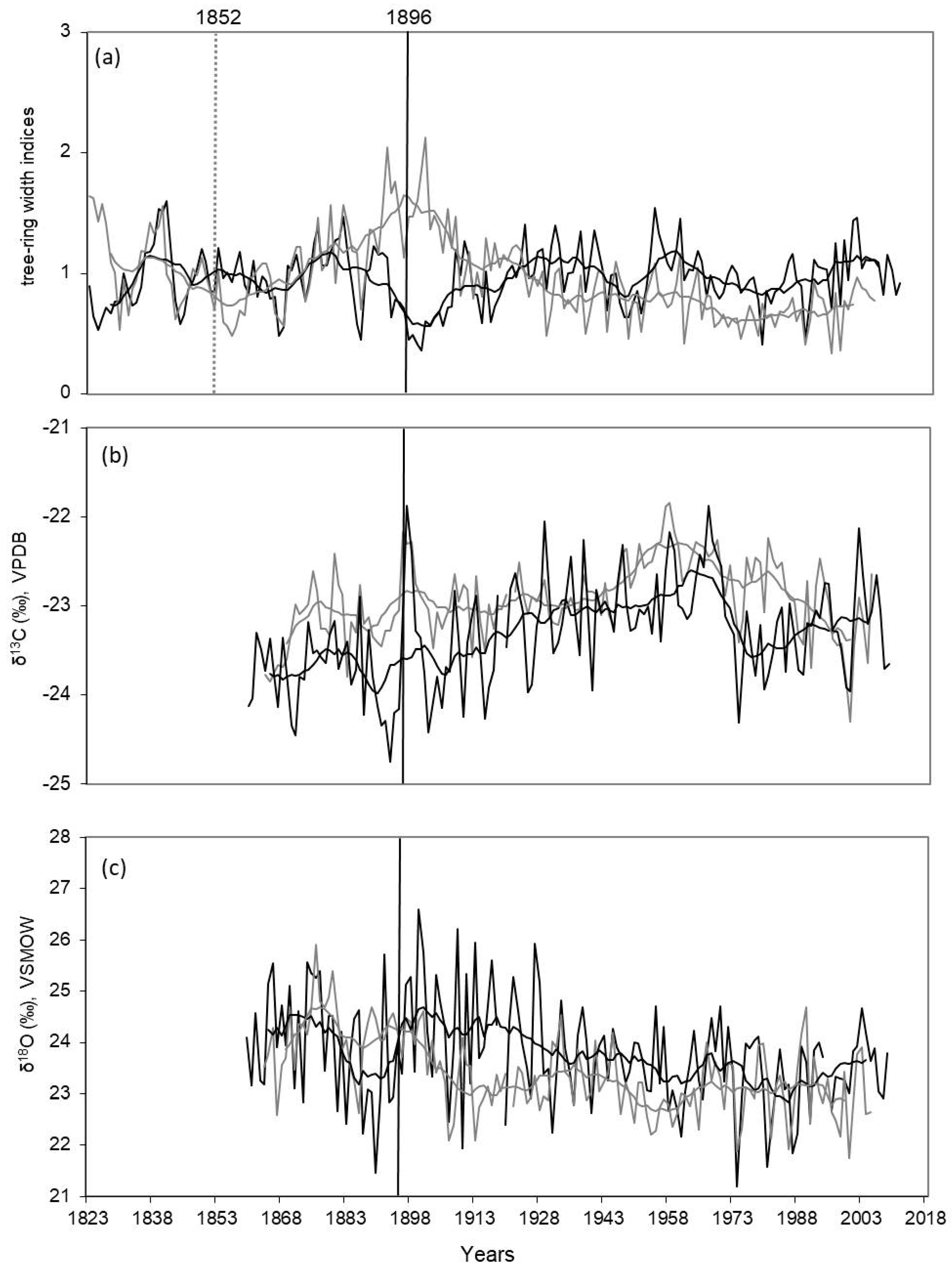 Forests 13 00725 g003
