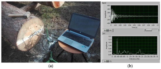 Forests 13 00729 g003