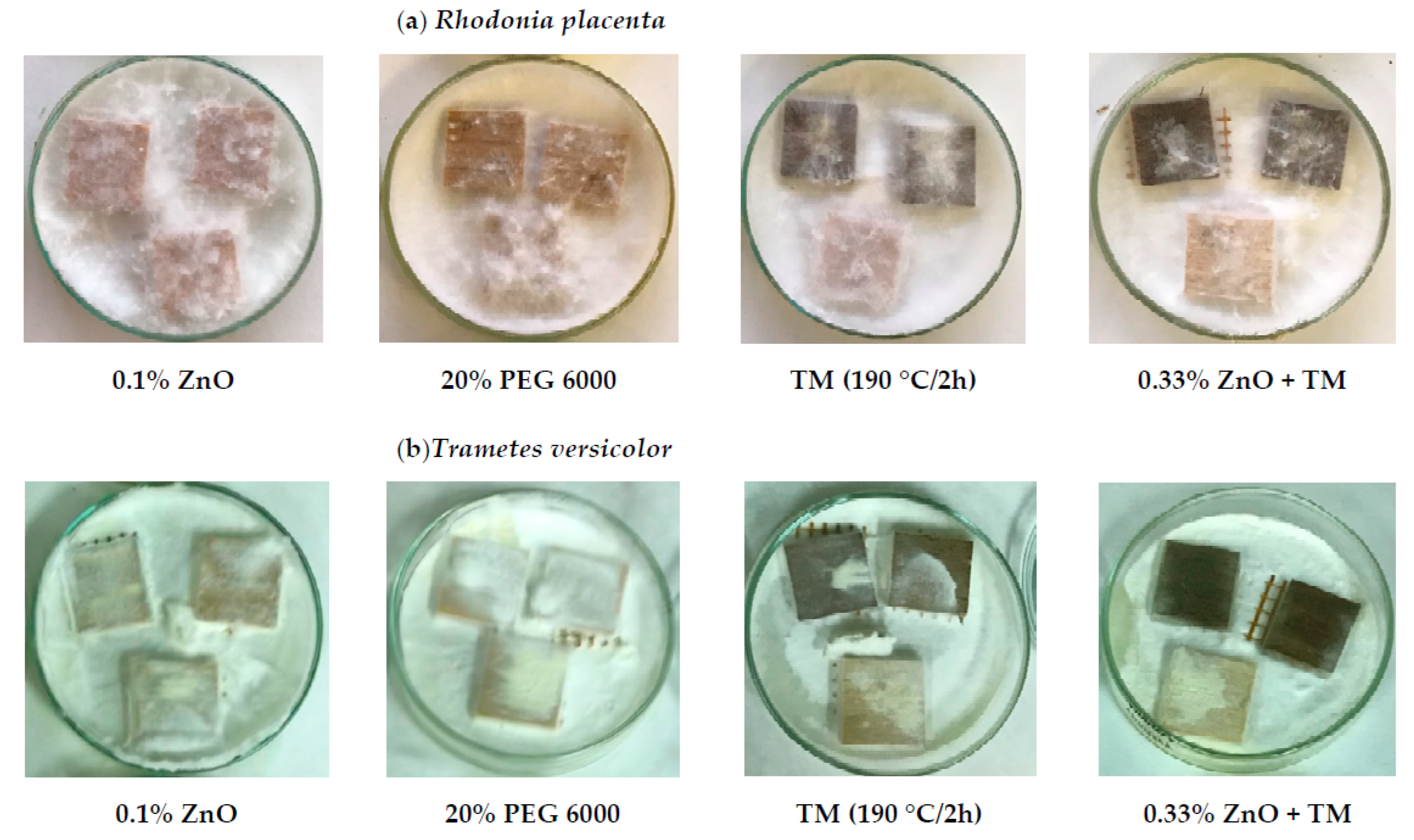 Forests 13 00731 g003