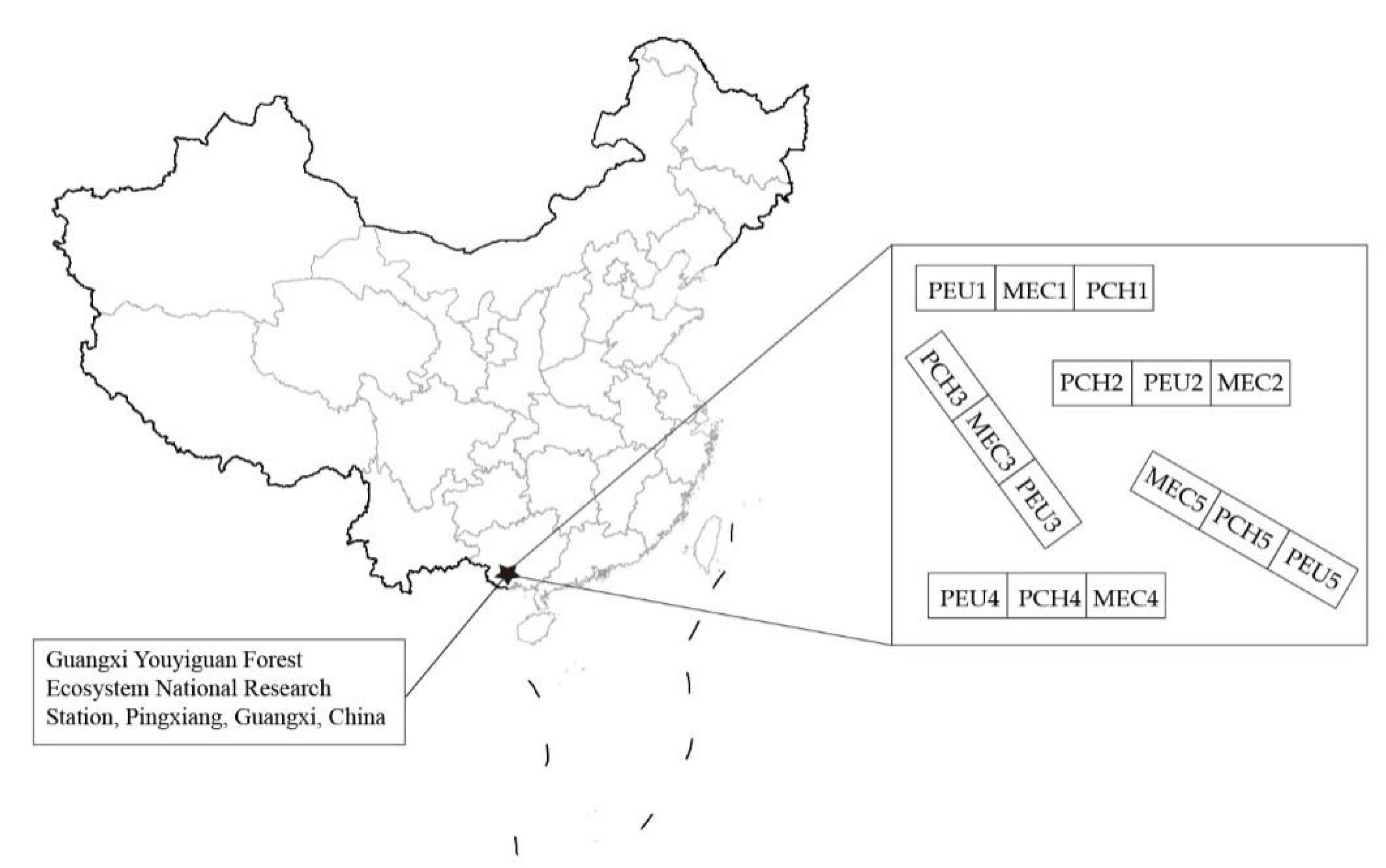 Forests 13 00733 g001