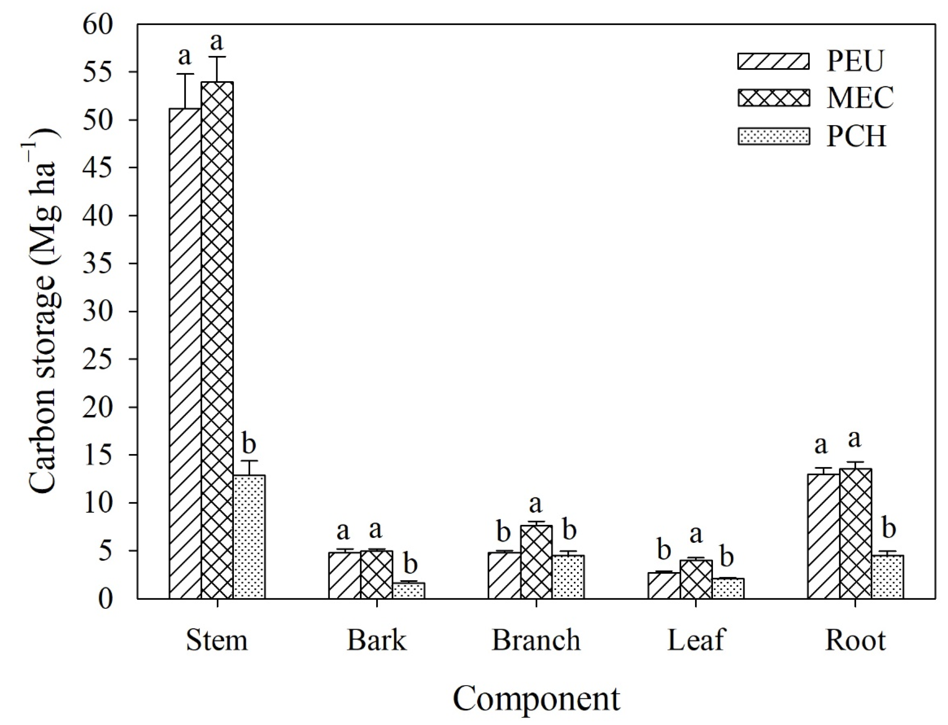 Forests 13 00733 g002