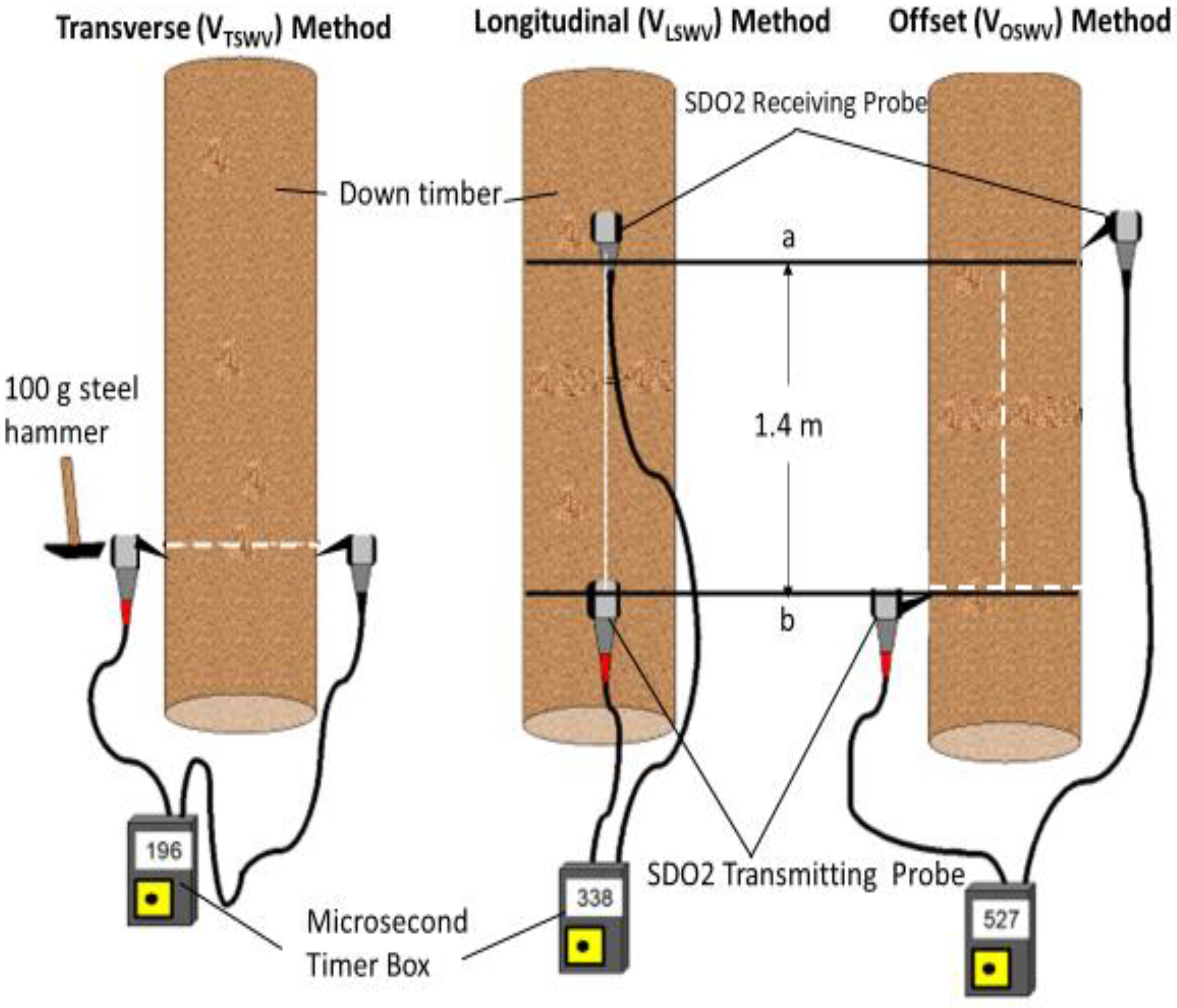 Forests 13 00752 g001