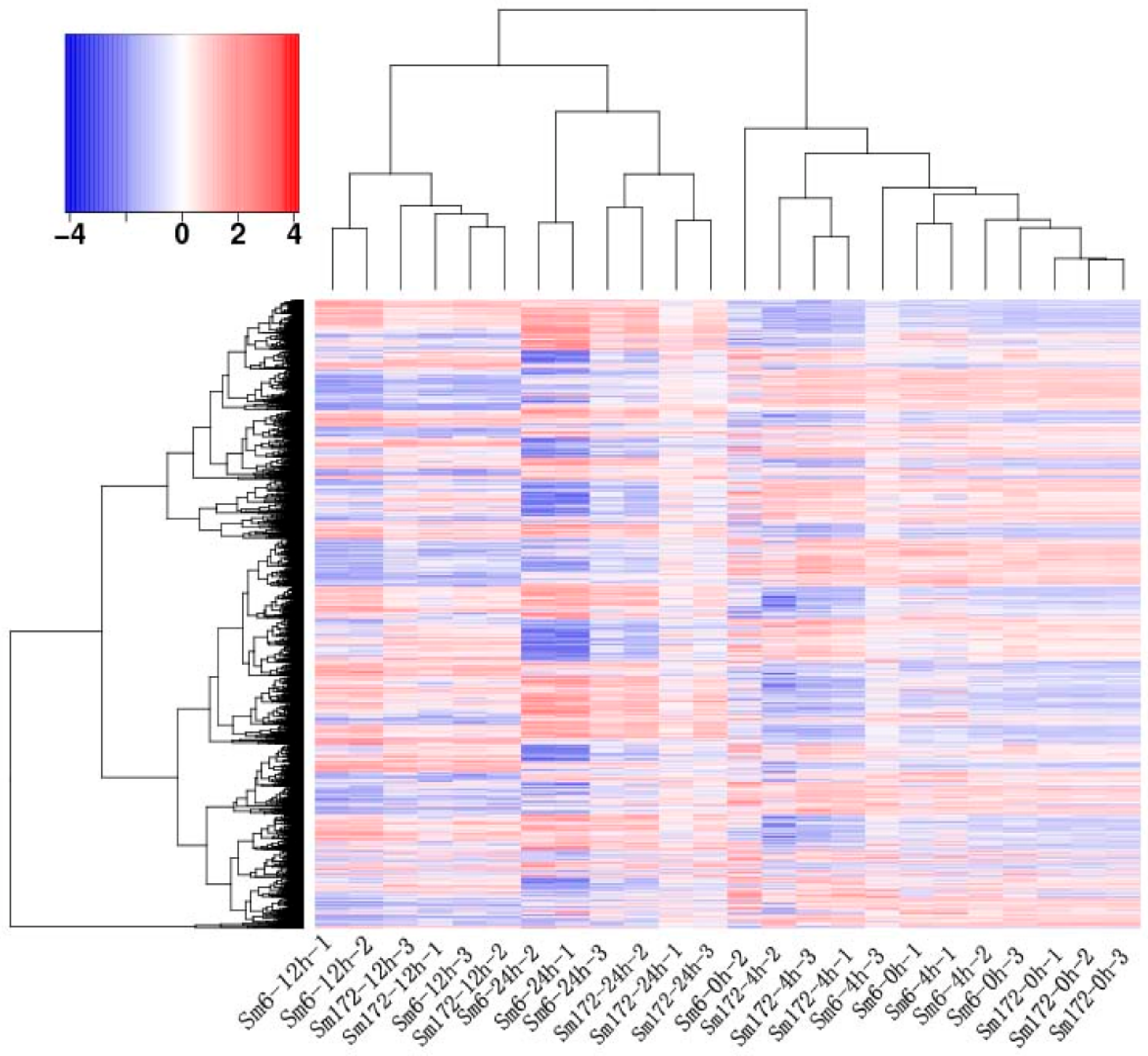 Forests 13 00754 g001