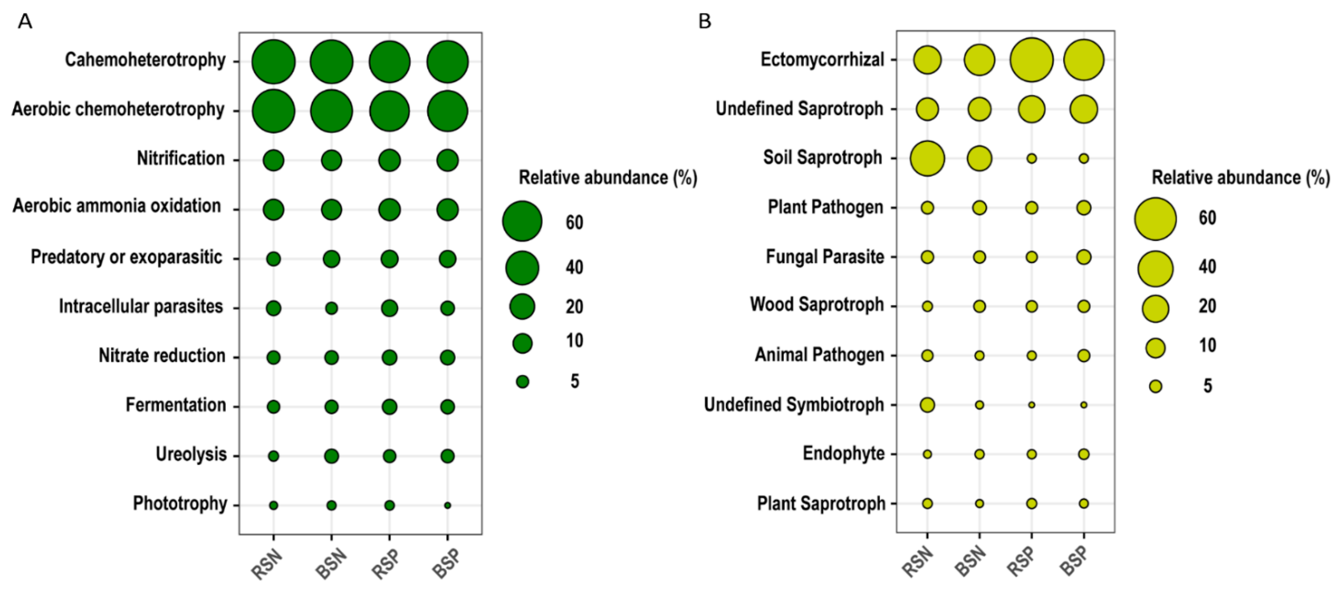 Forests 13 00756 g004