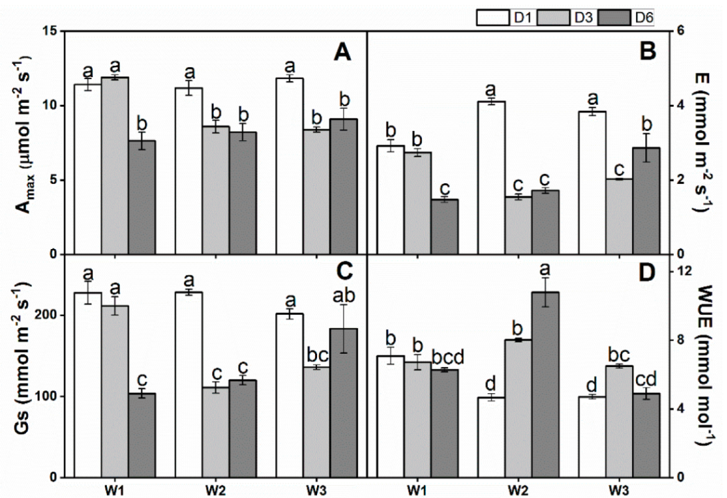 Forests 13 00762 g001