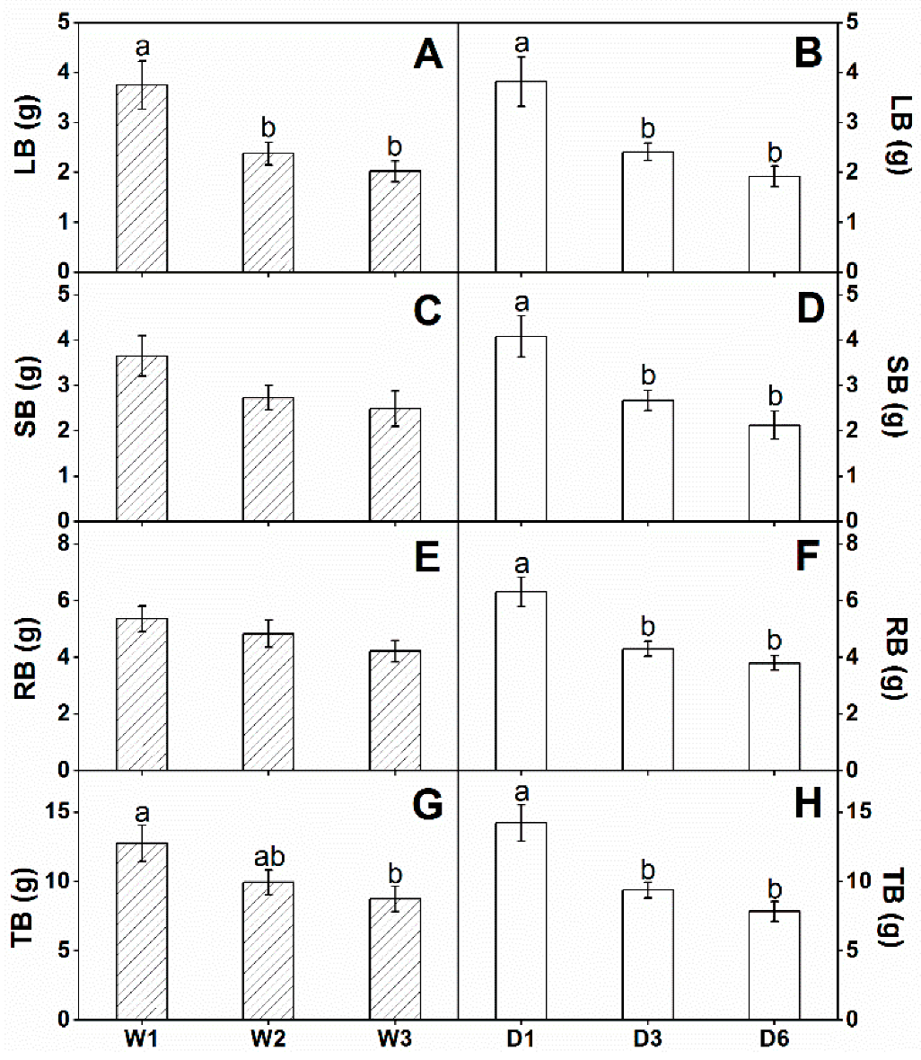Forests 13 00762 g005