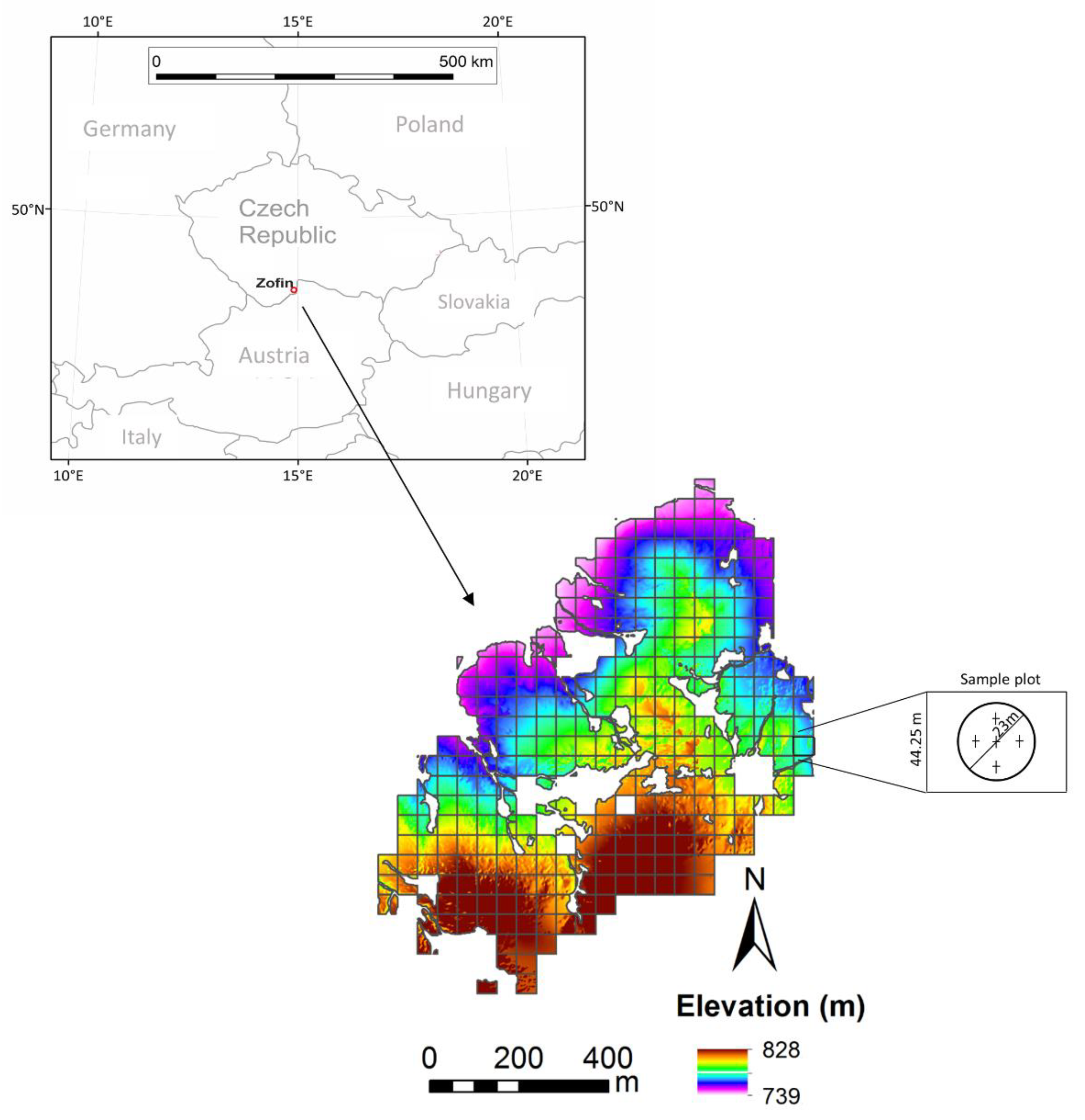 Forests 13 00769 g001