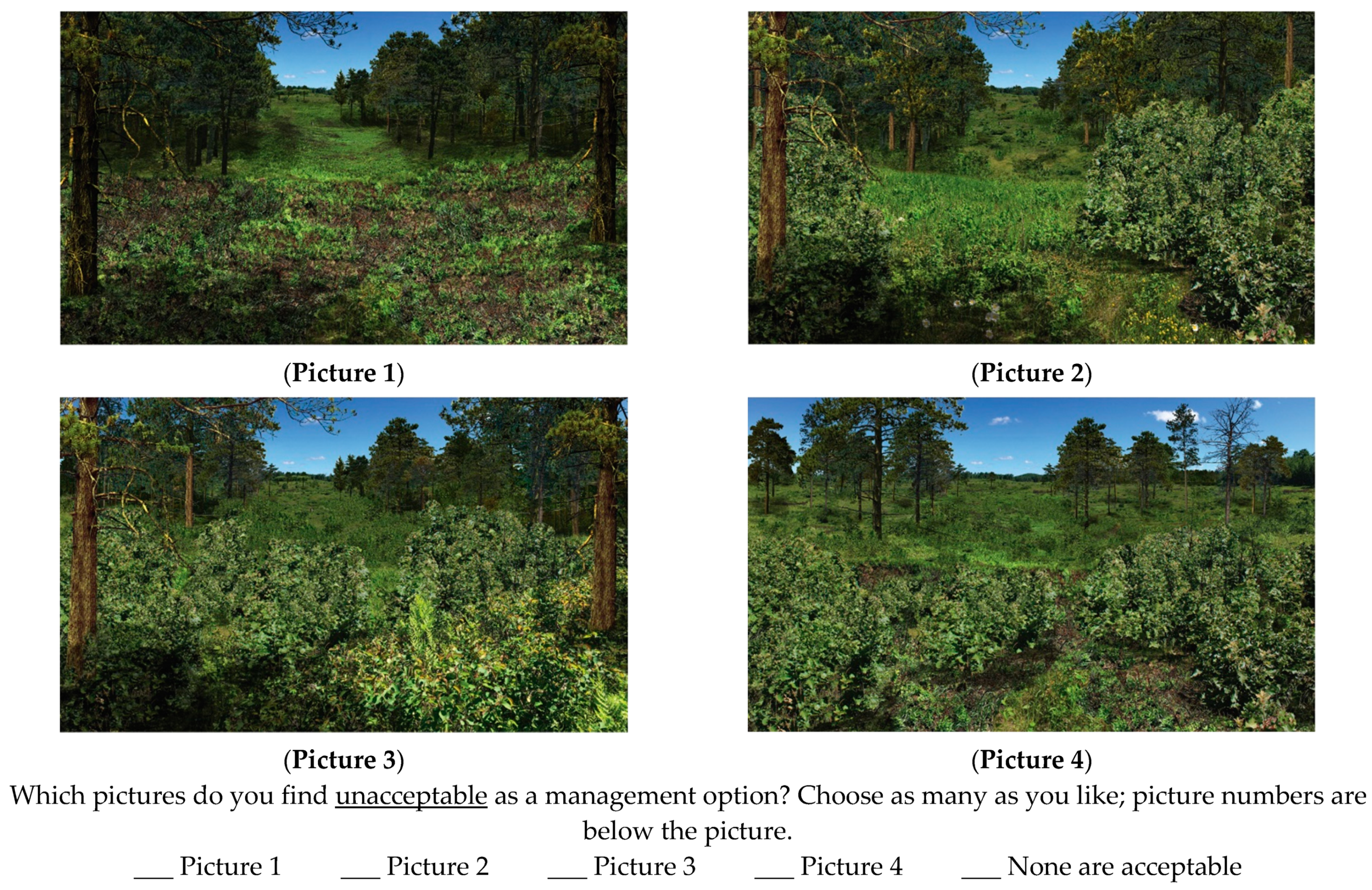 Forests 13 00770 g003