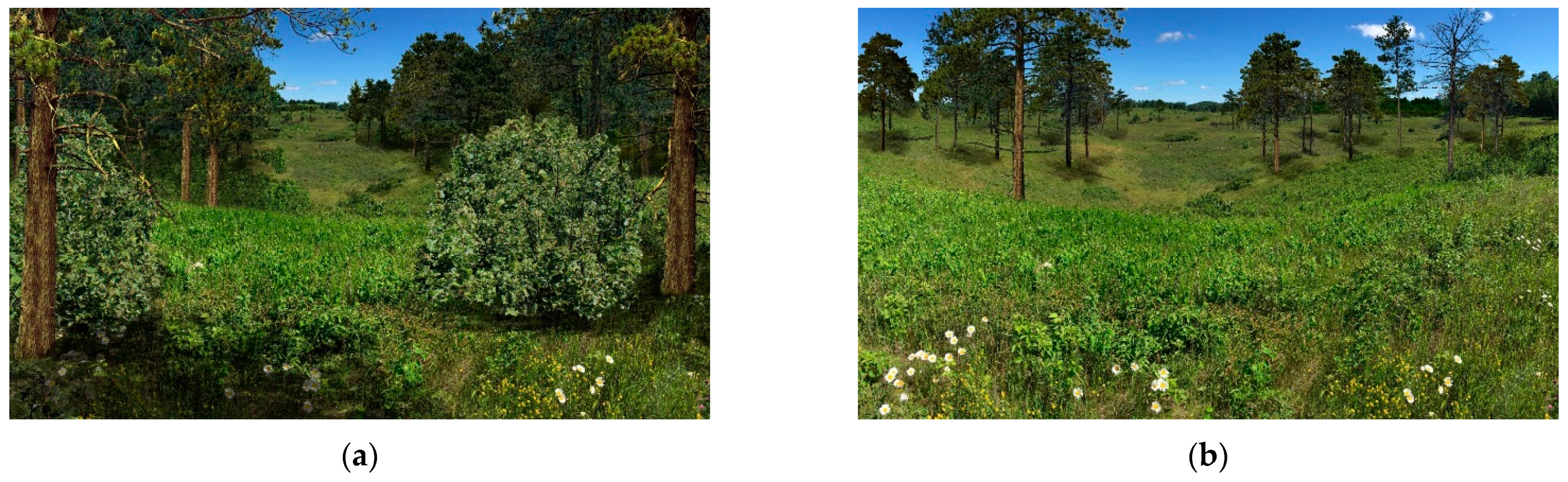 Forests 13 00770 g004a