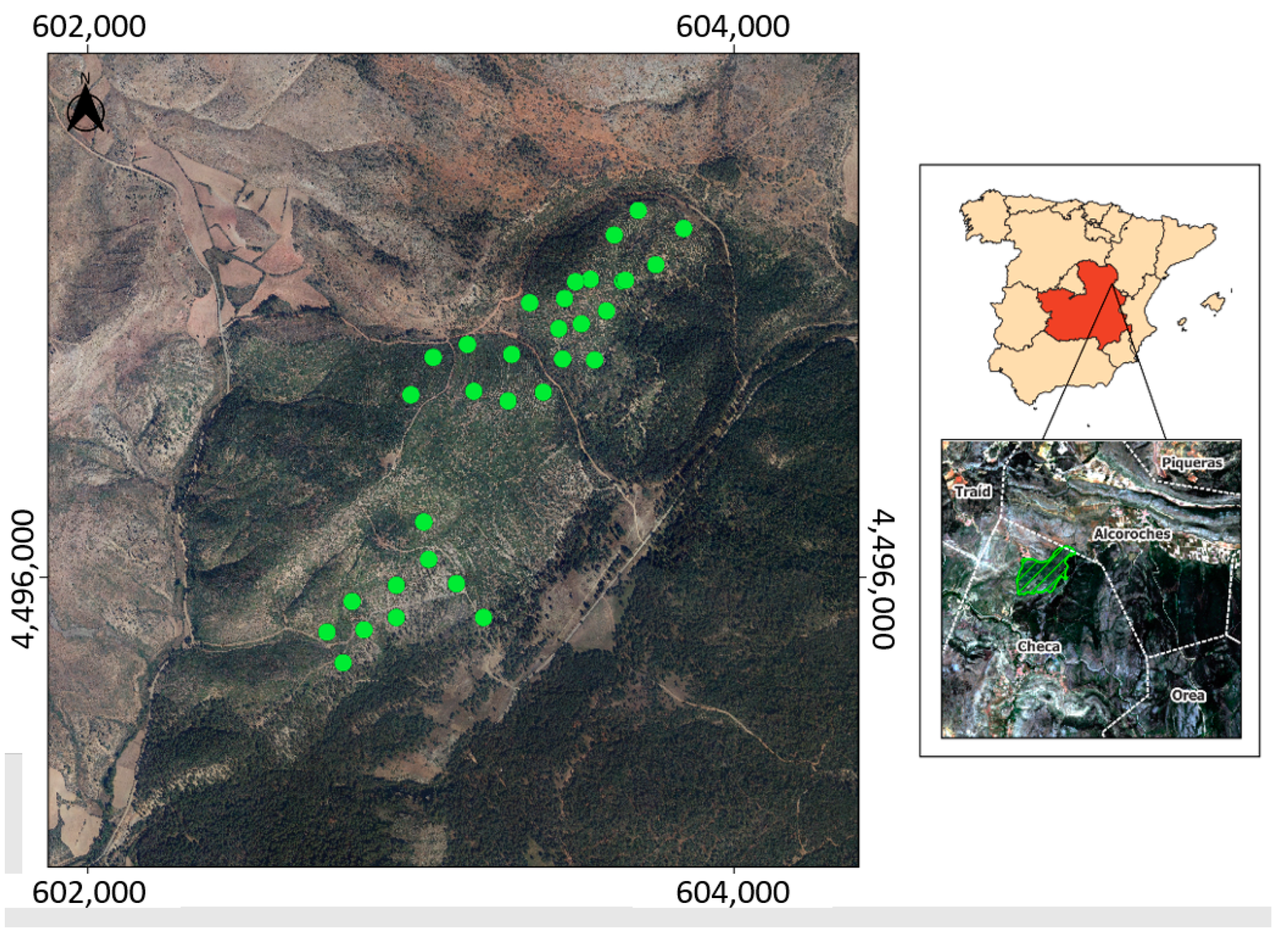 Forests 13 00771 g001