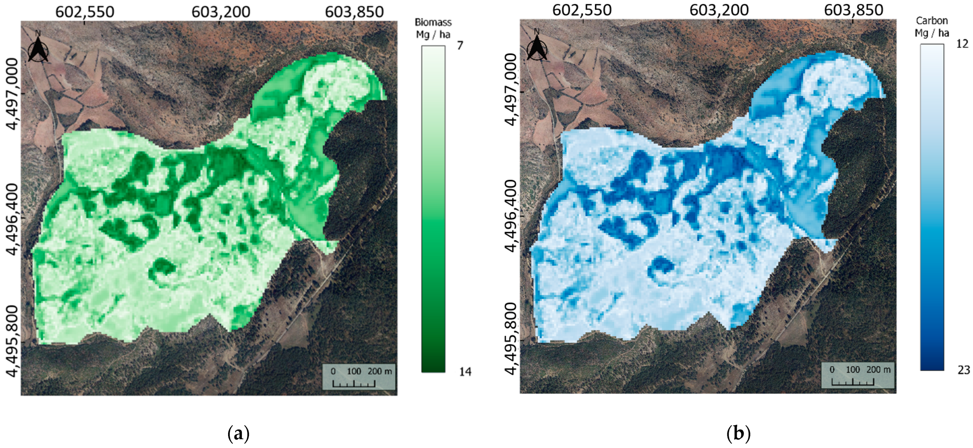 Forests 13 00771 g006