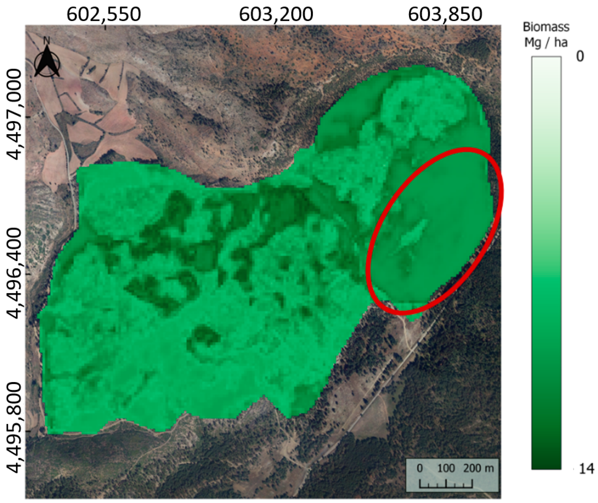 Forests 13 00771 g007