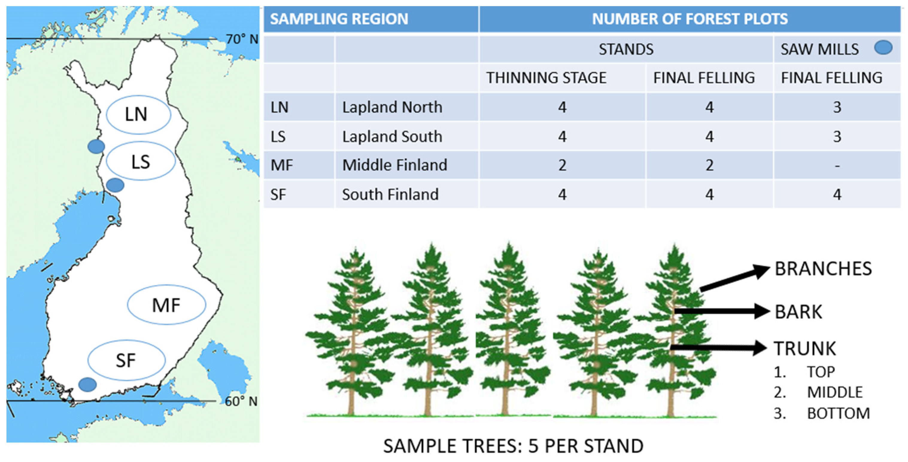 Forests 13 00779 g001 Forests 13 00779 g001