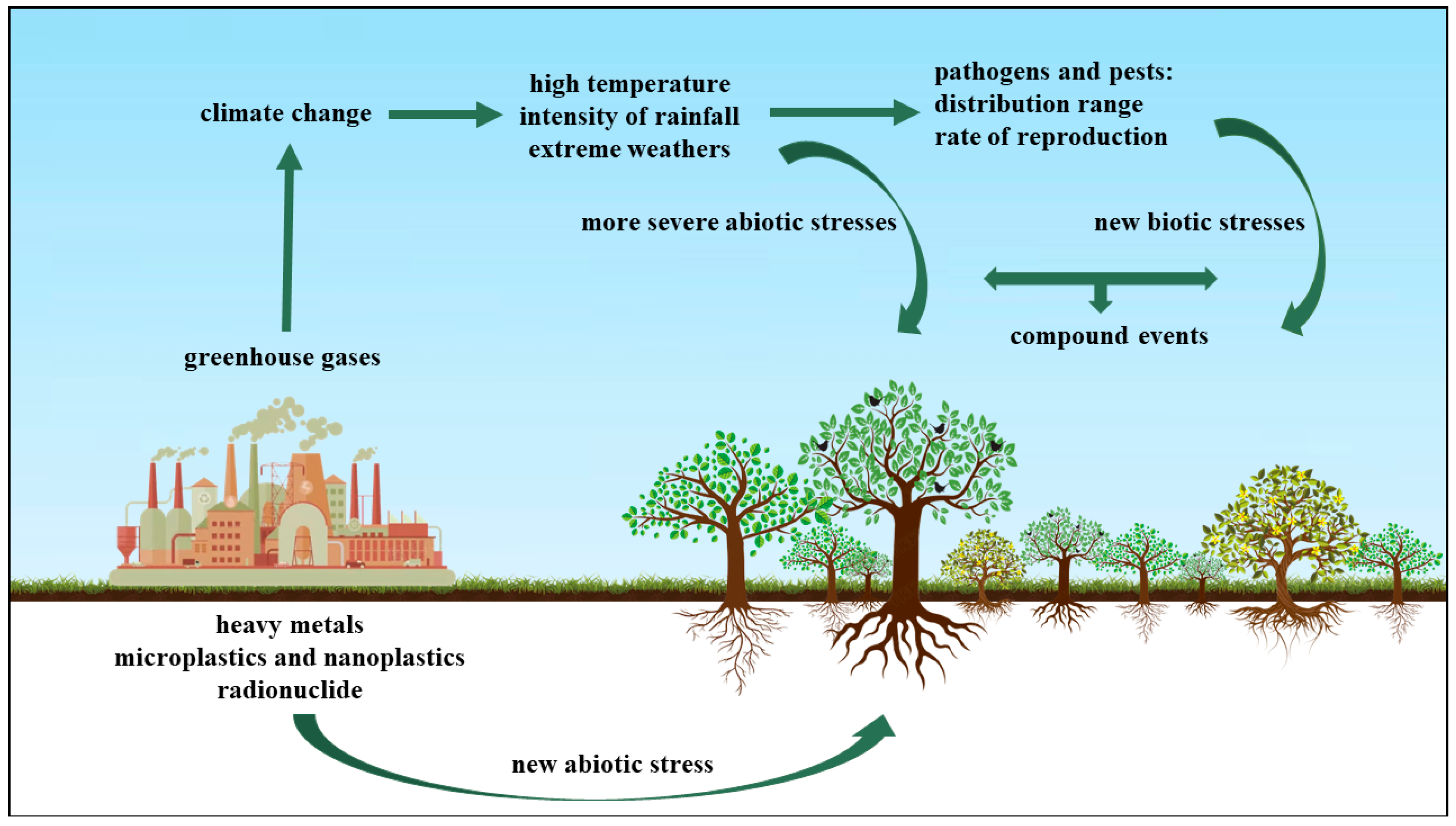 Forests 13 00780 g001