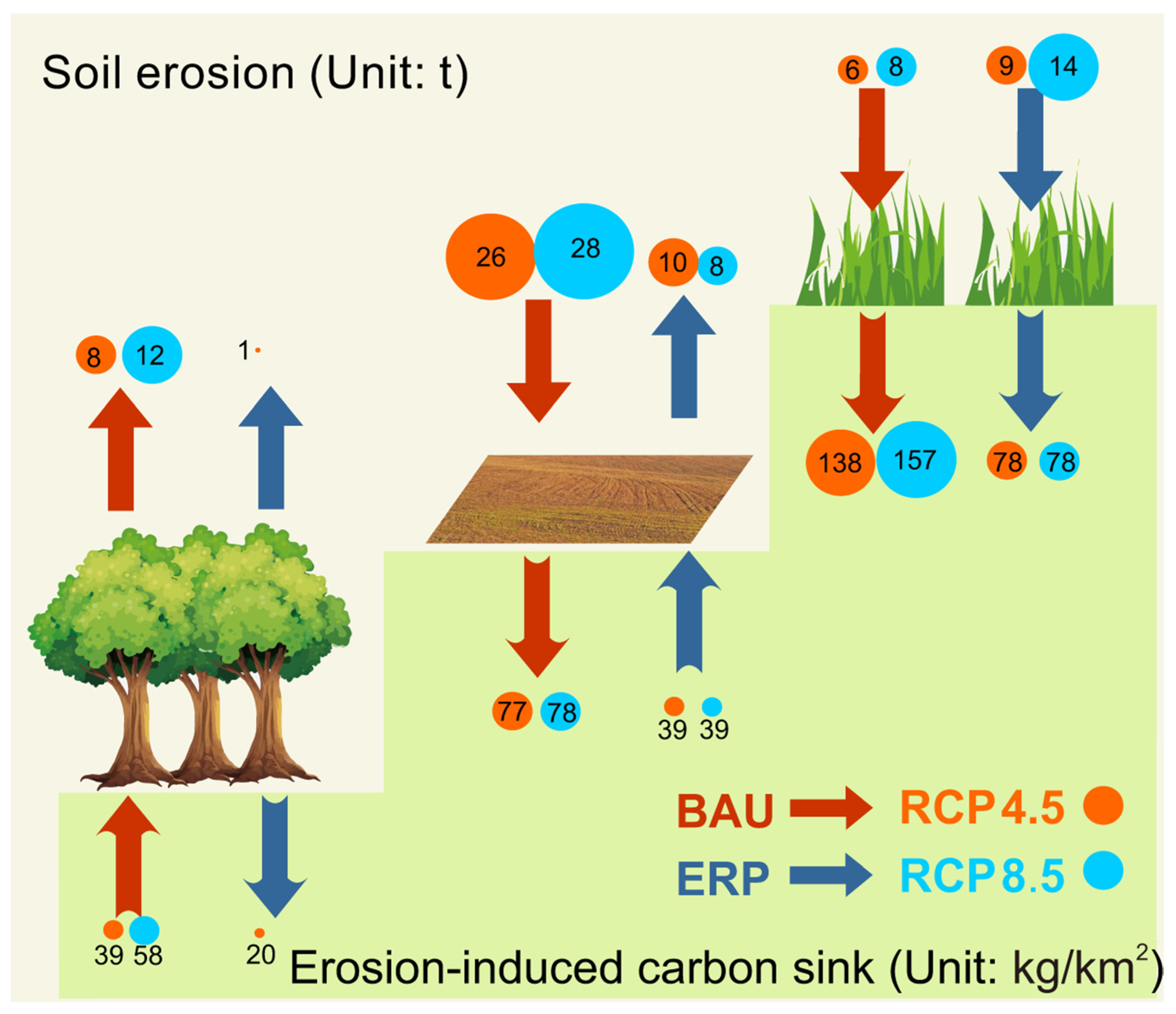 Forests 13 00785 g006